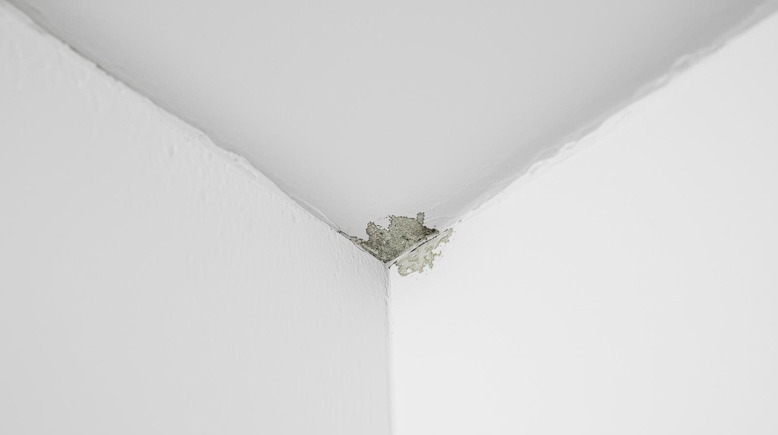 small mold patch on white bathroom ceiling corner showing early signs of moisture and air quality issues in Yorba Linda home