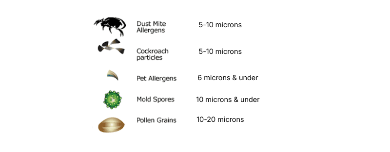 chart comparing sizes of pollen, dust mite allergens, pet dander, and mold spores in microns