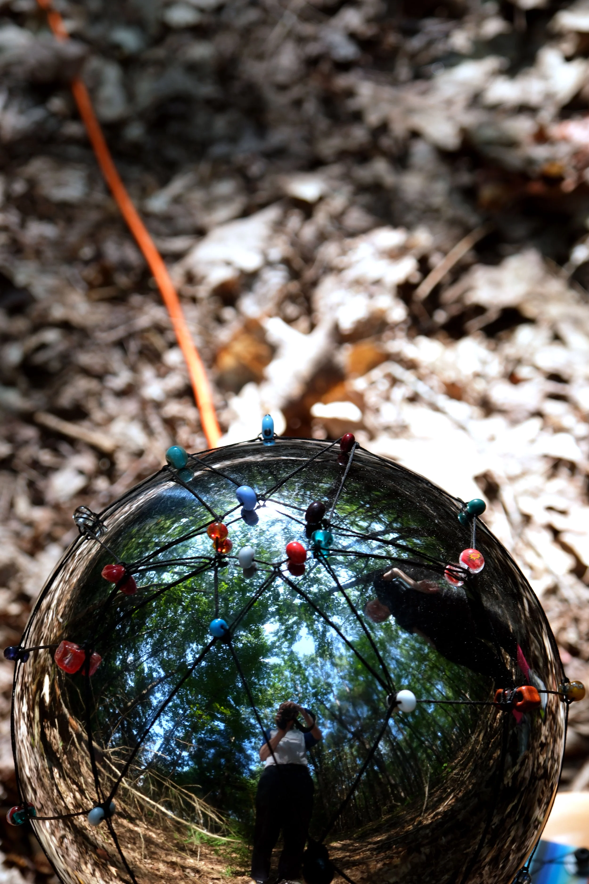 grief-woods-1-web.jpg