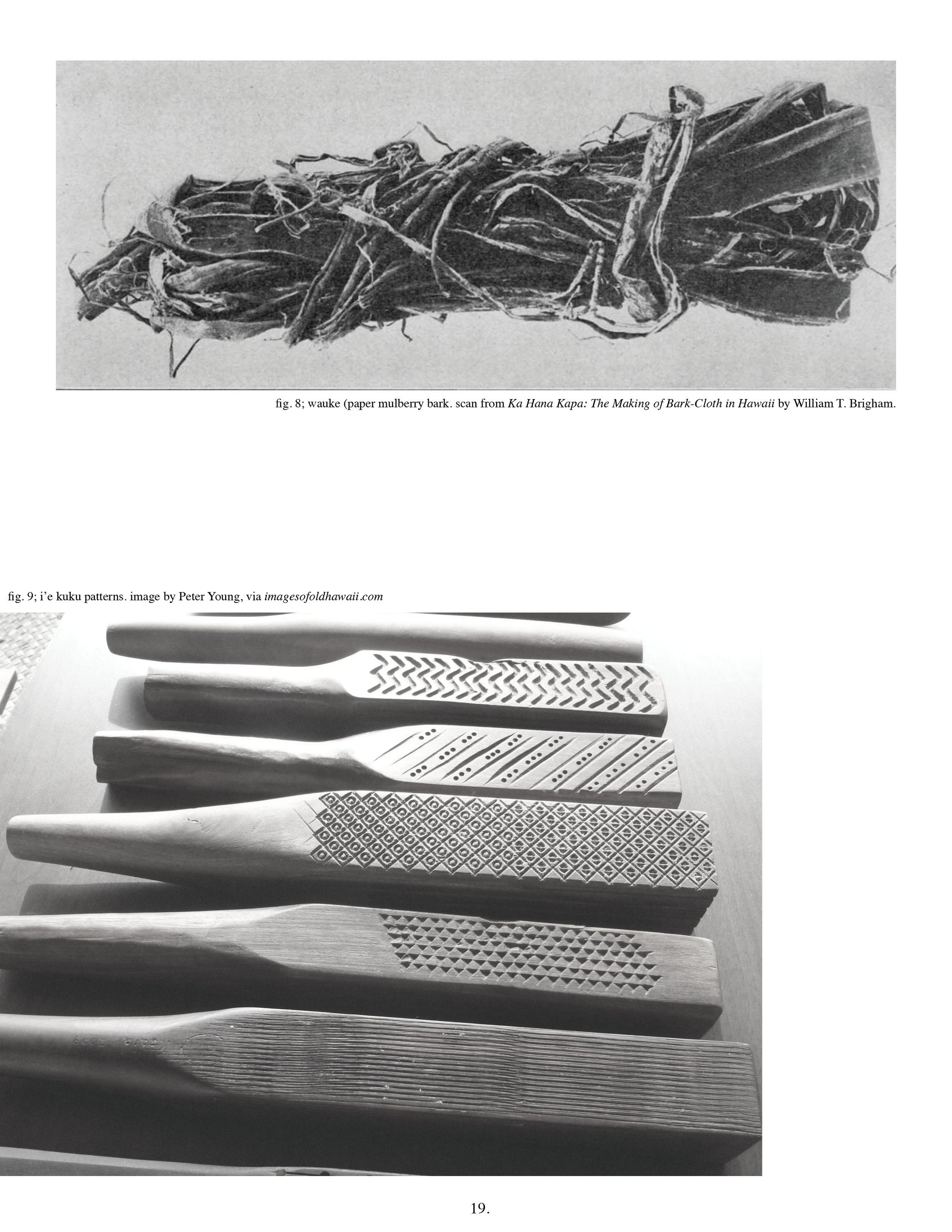 ARS FINAL ZINE22.png