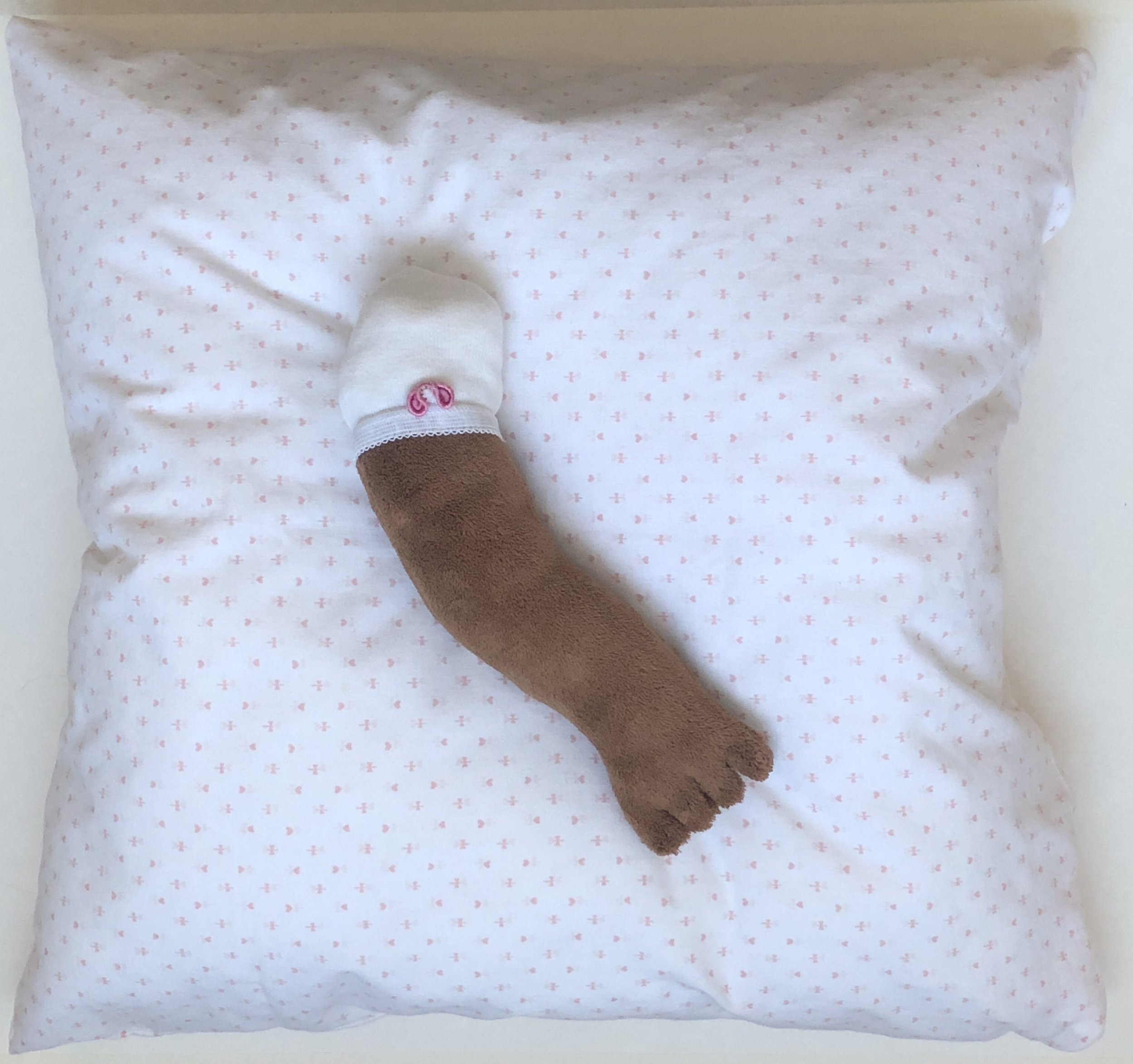 "Everybody needs something small to look after"