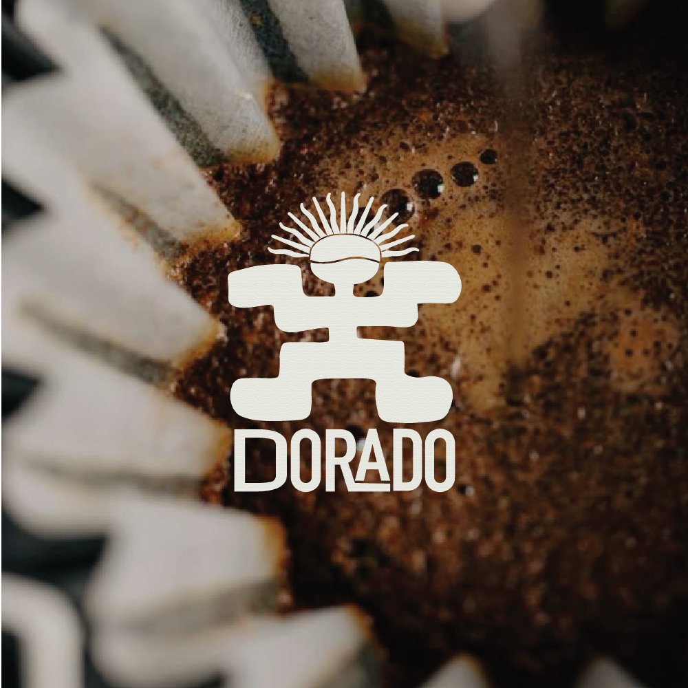 DORADO SPOTLIGHT-05.png