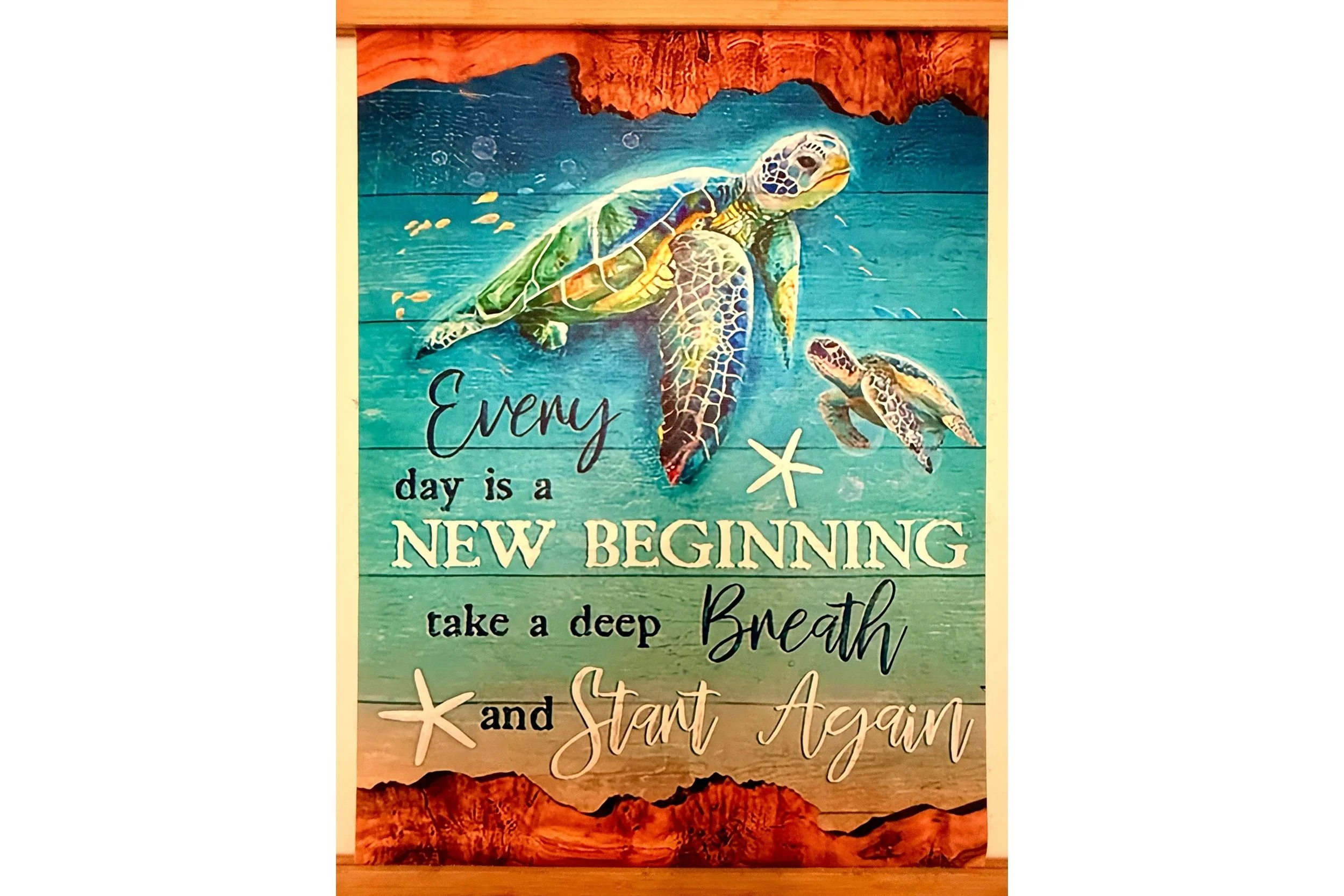 Azul 6 new beginning decor.jpg