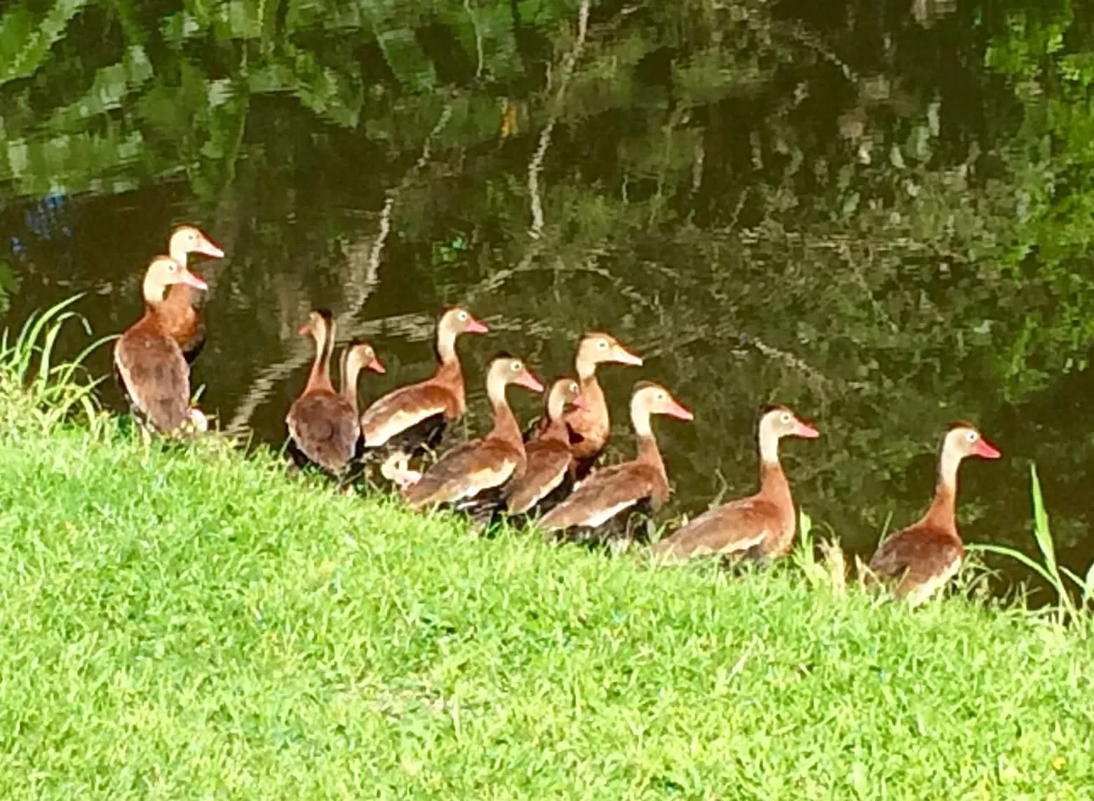 Photo by Paul Gardner