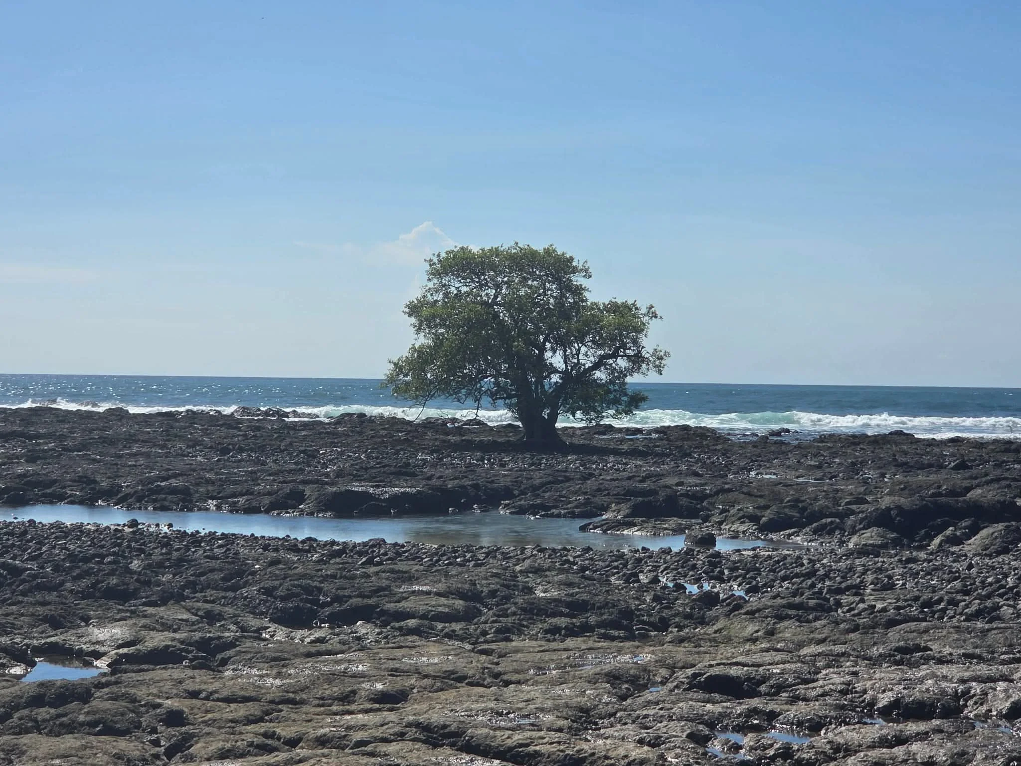 Photo by Patti Comeau