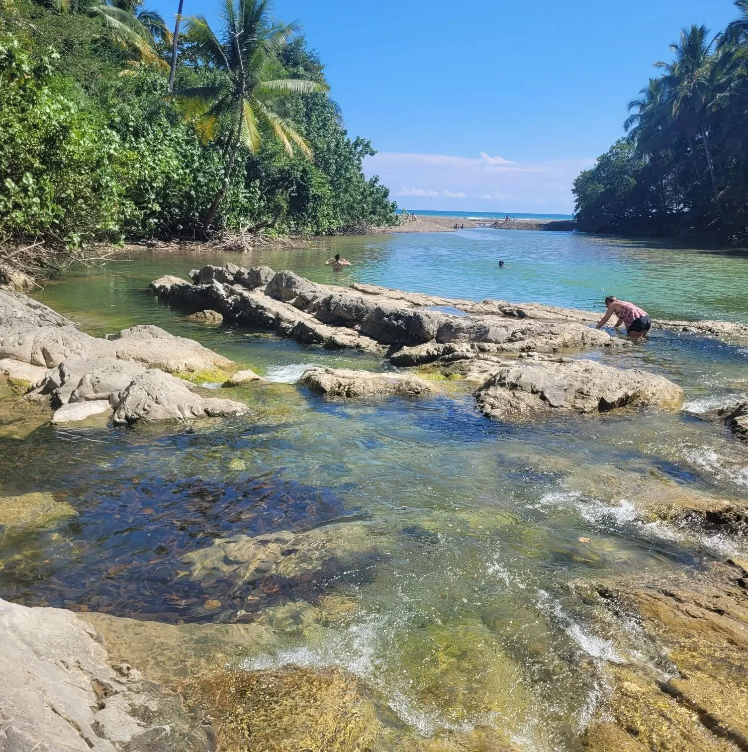 Photo by Christine Schmitt