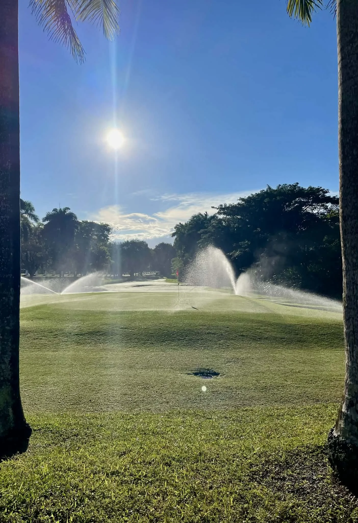 Photo by Paul Gardner