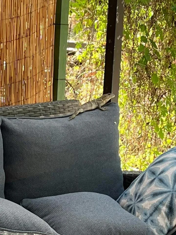 Photo by Darlene Boliver