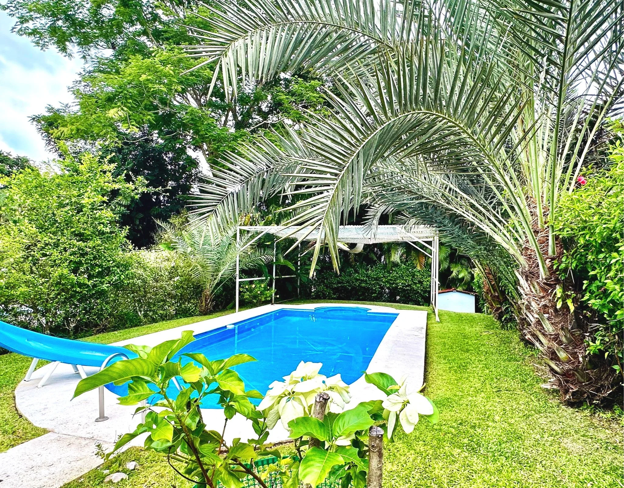 Villa+554+-+Mozart+-+pool.jpg