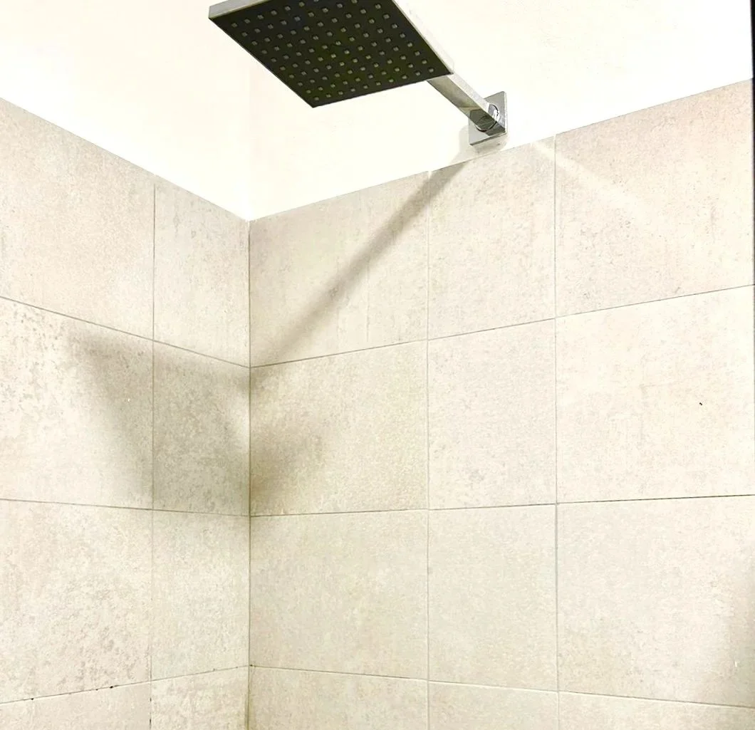 Upgraded Shower Head with new Hot Water on Demand System