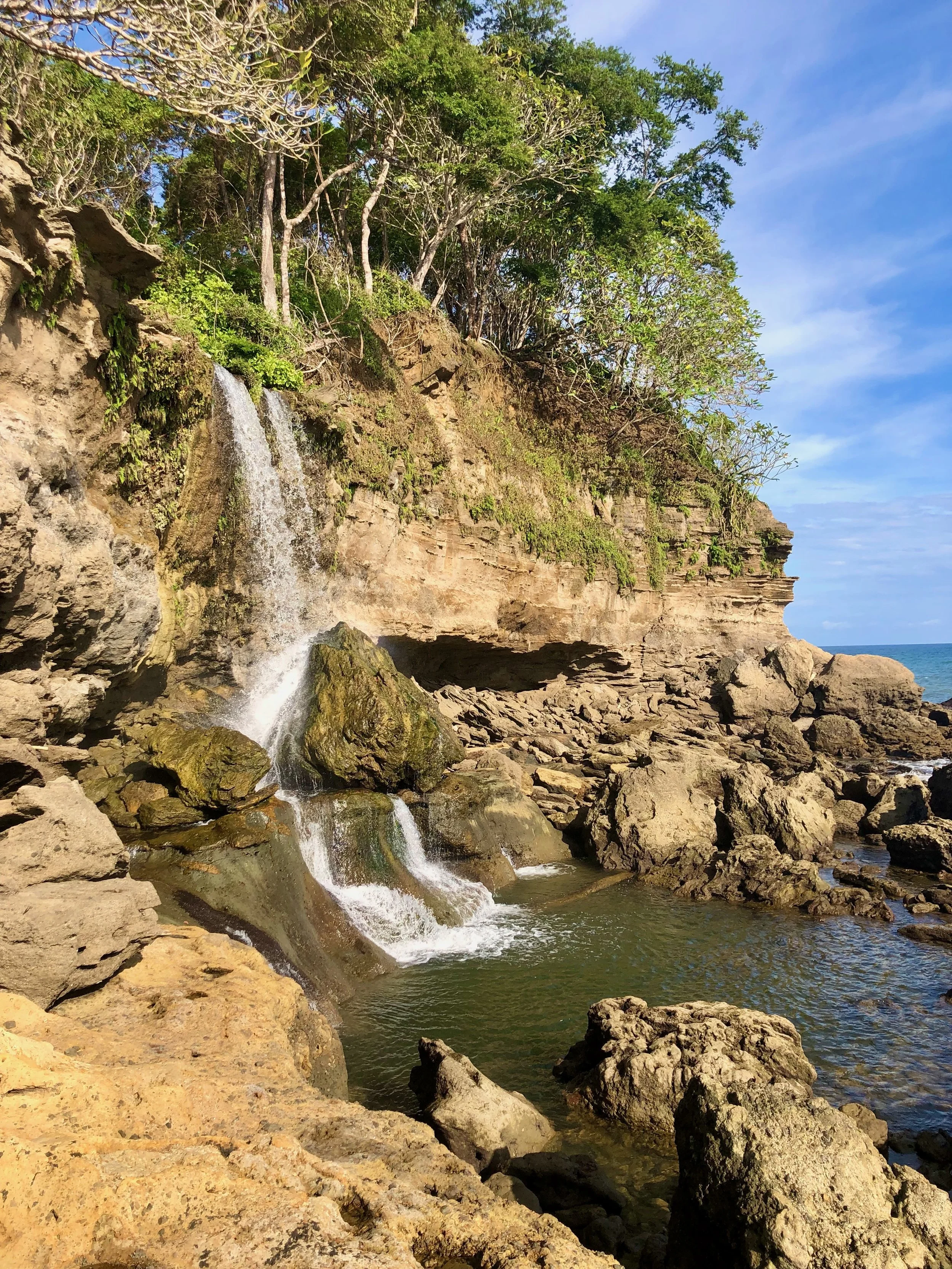 Santa Teresa vs Montezuma vs Tambor vs Organos