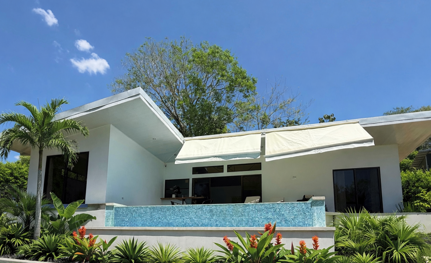 AI Landscape Rendition - plants are being installed