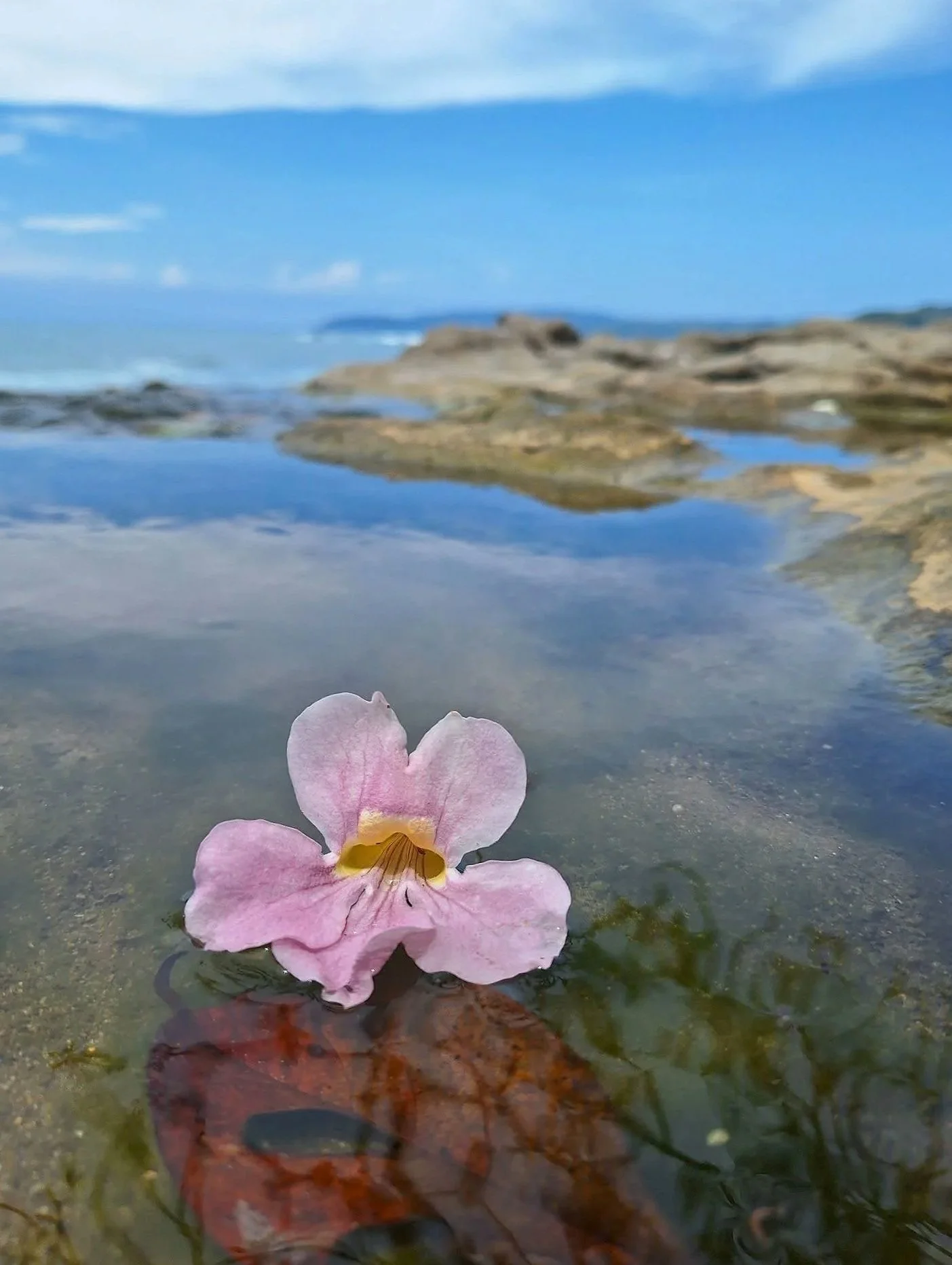 Photo by Daniela Dormond Quiel