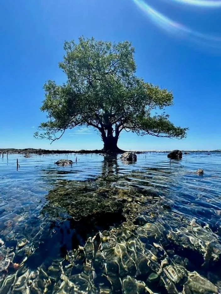 Photo by Jodi Paul