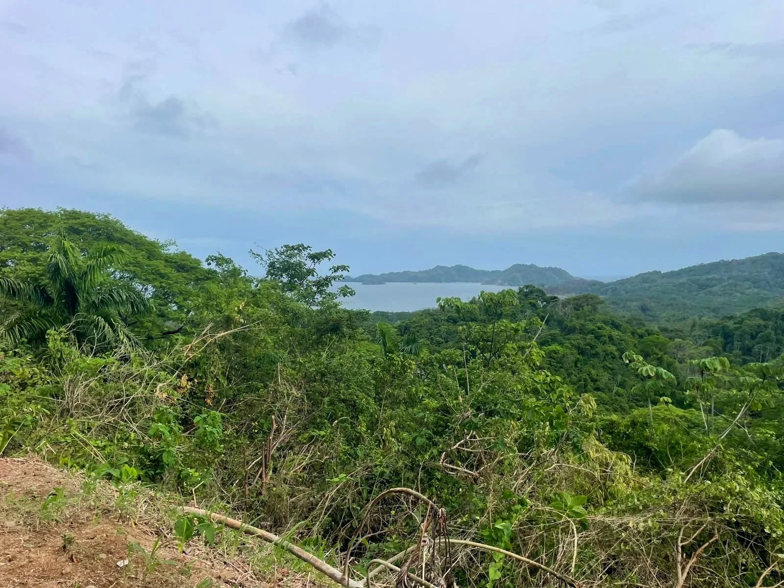 property+view.jpg