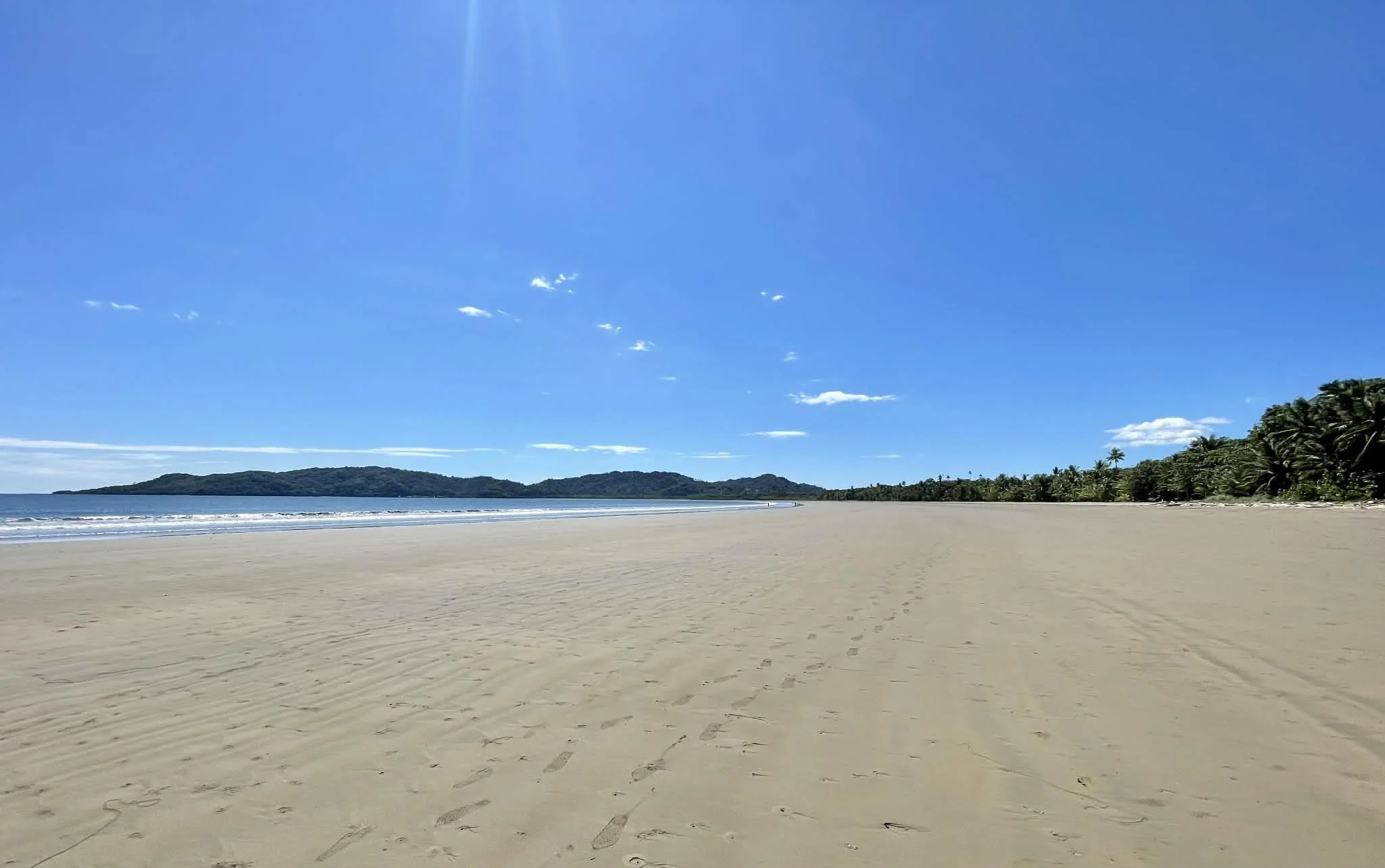 Photo by Paul Gardner