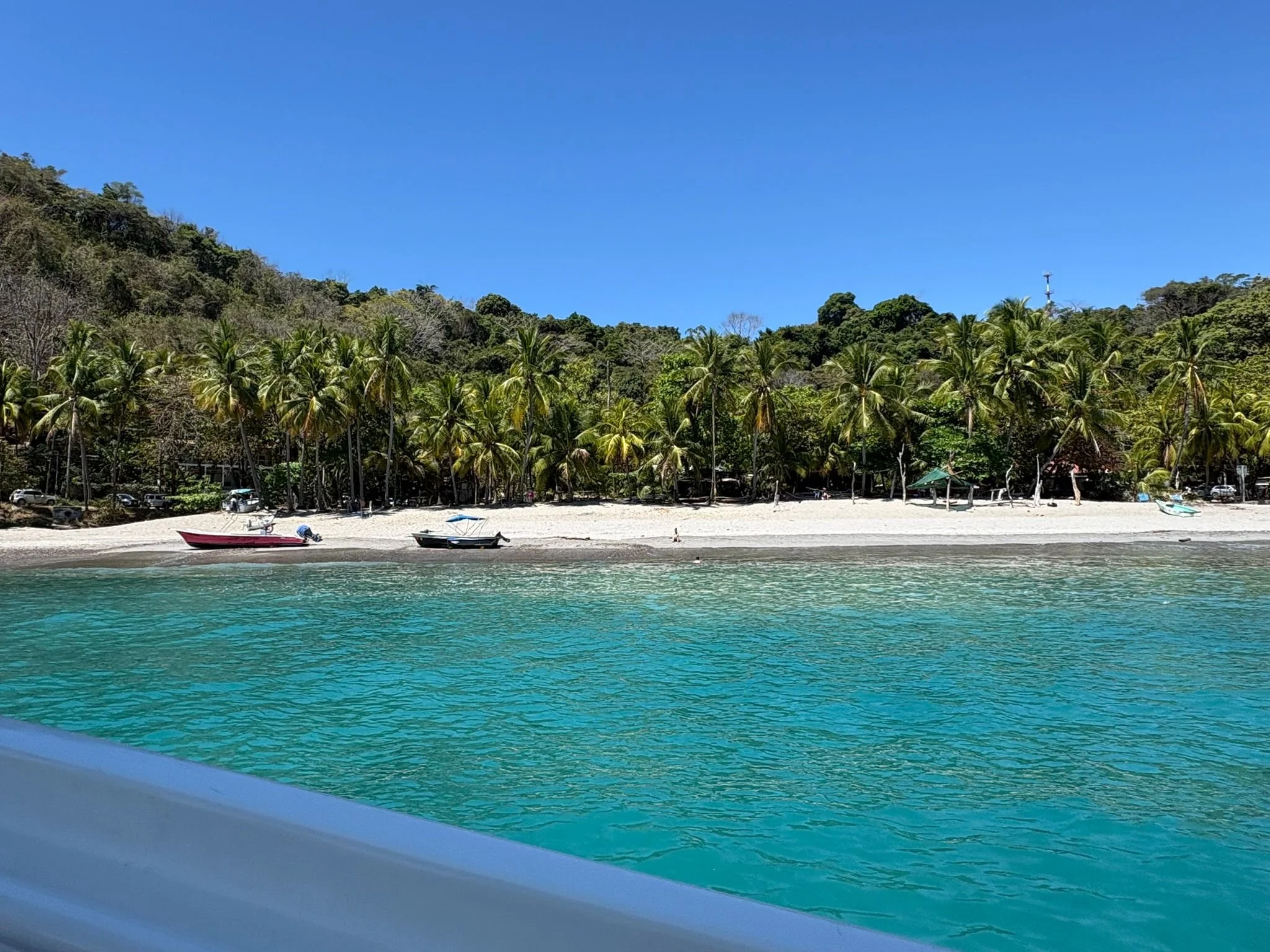 Photo by Patti Comeau