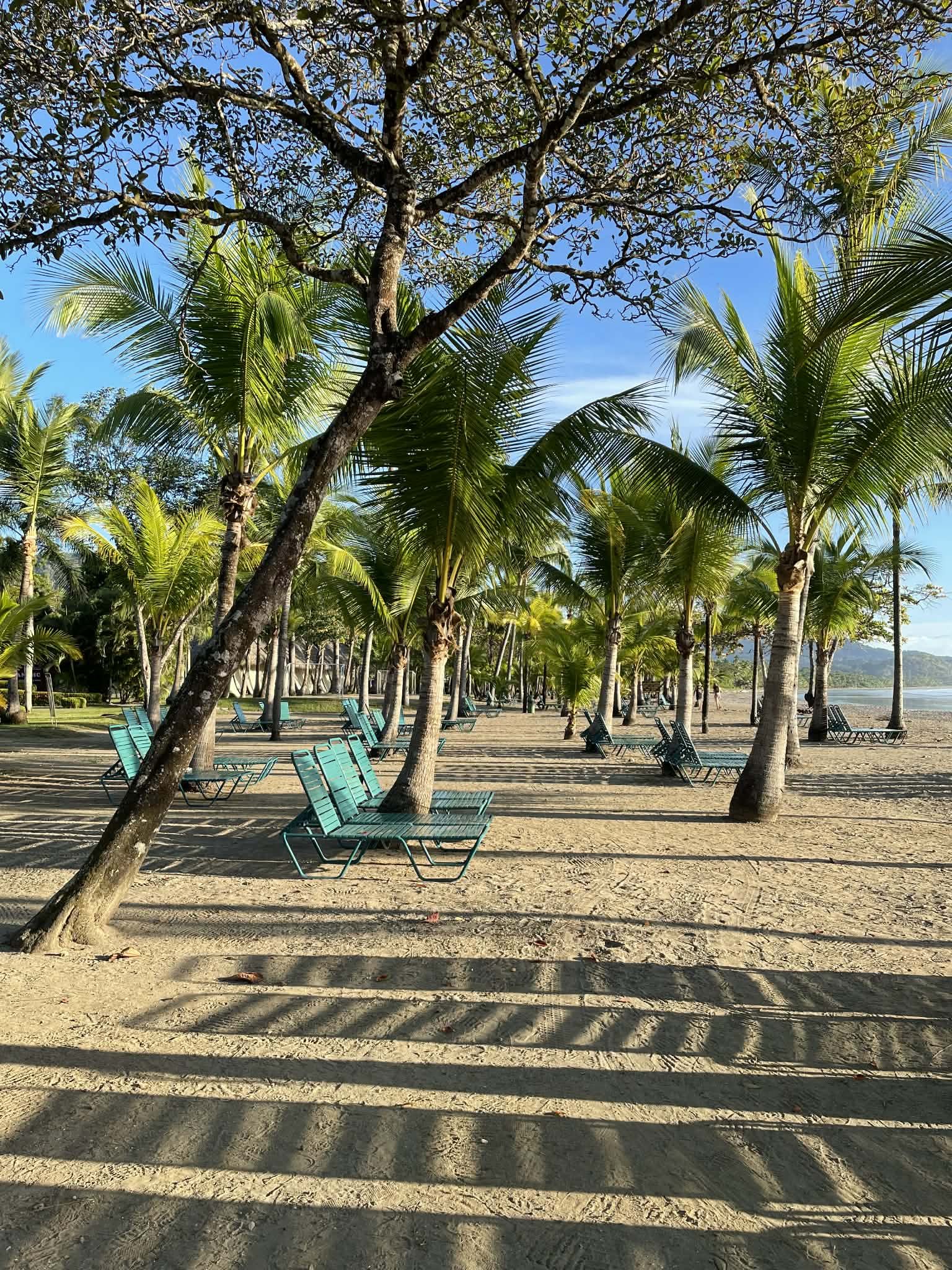 Photo by Paul Gardner