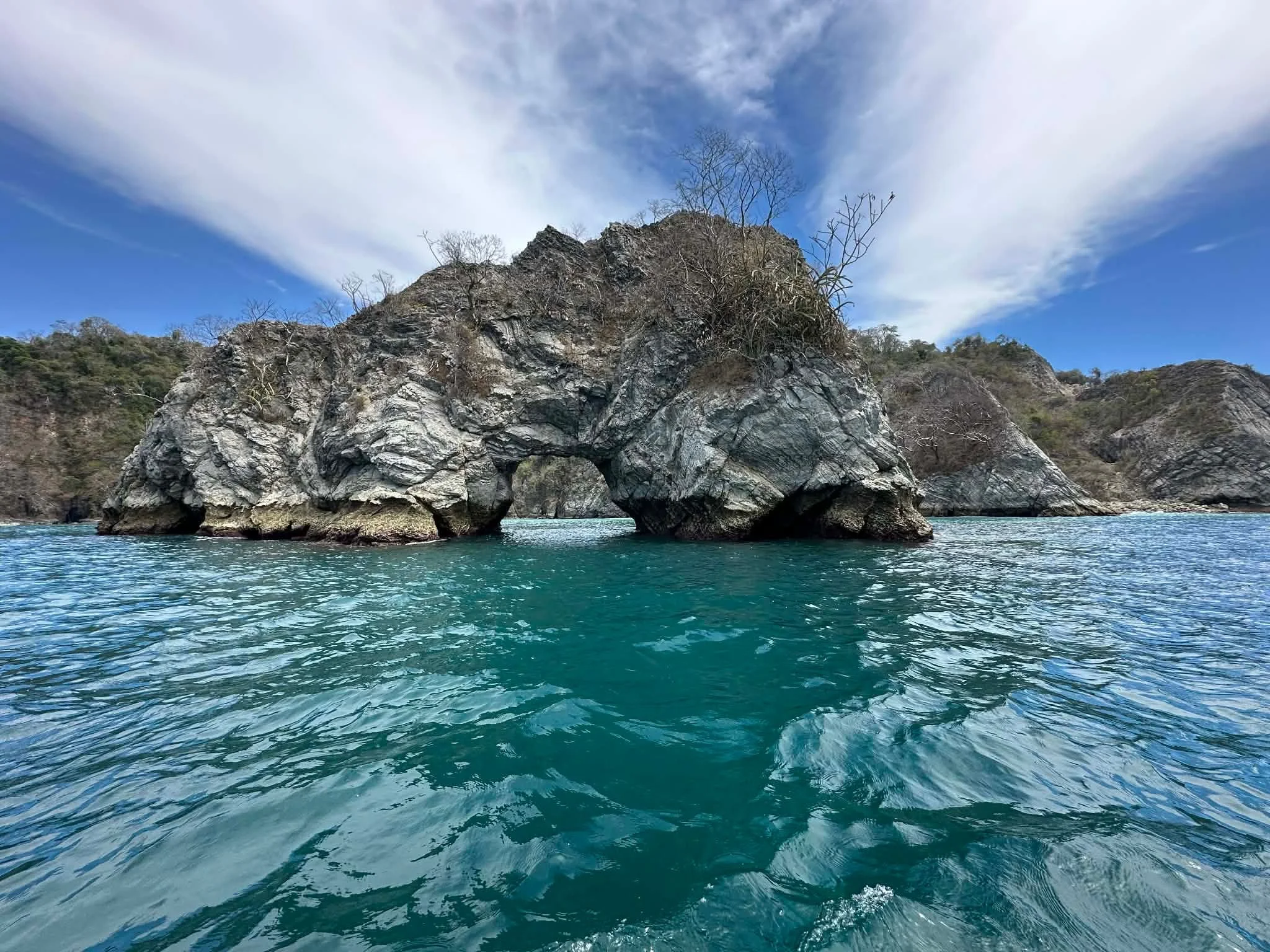 Photo by Patti Comeau