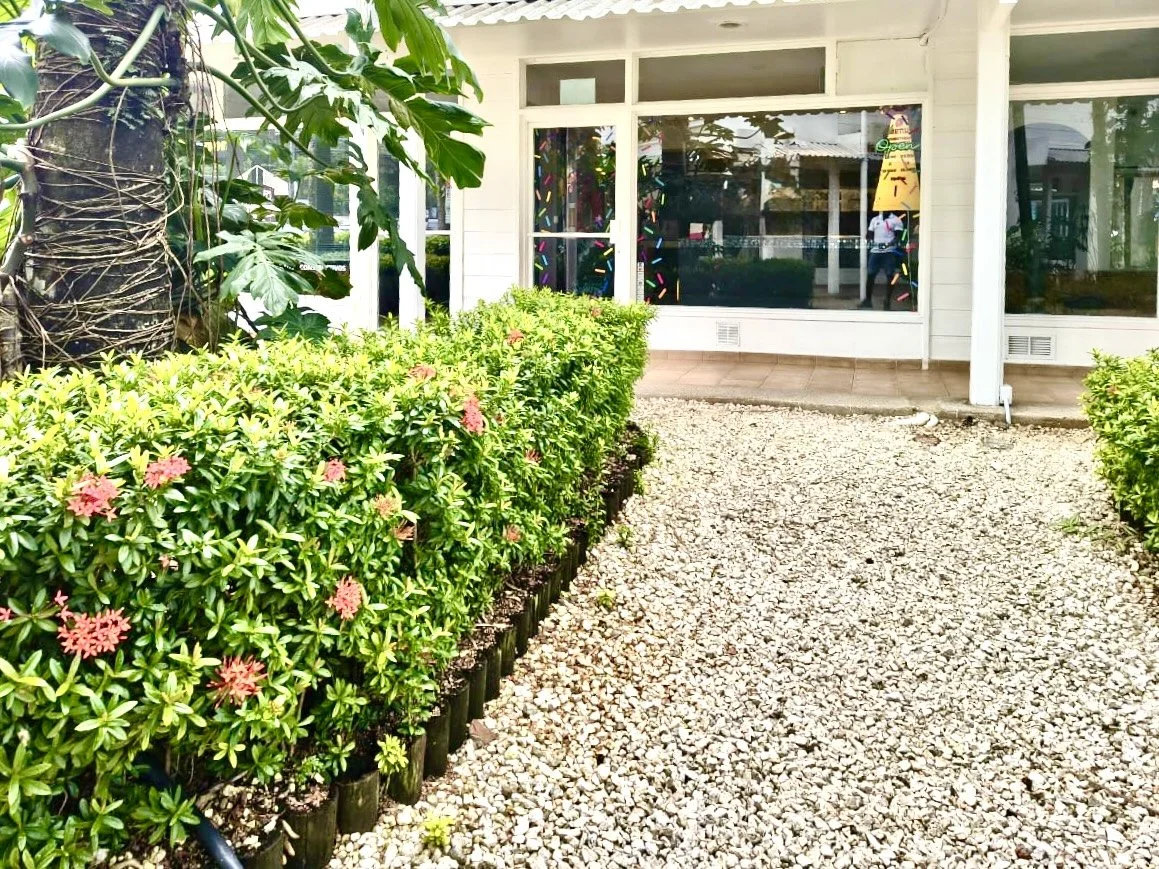 Retail commercial unit surrounded by tropical landscaping in Santa Teresa, Costa Rica