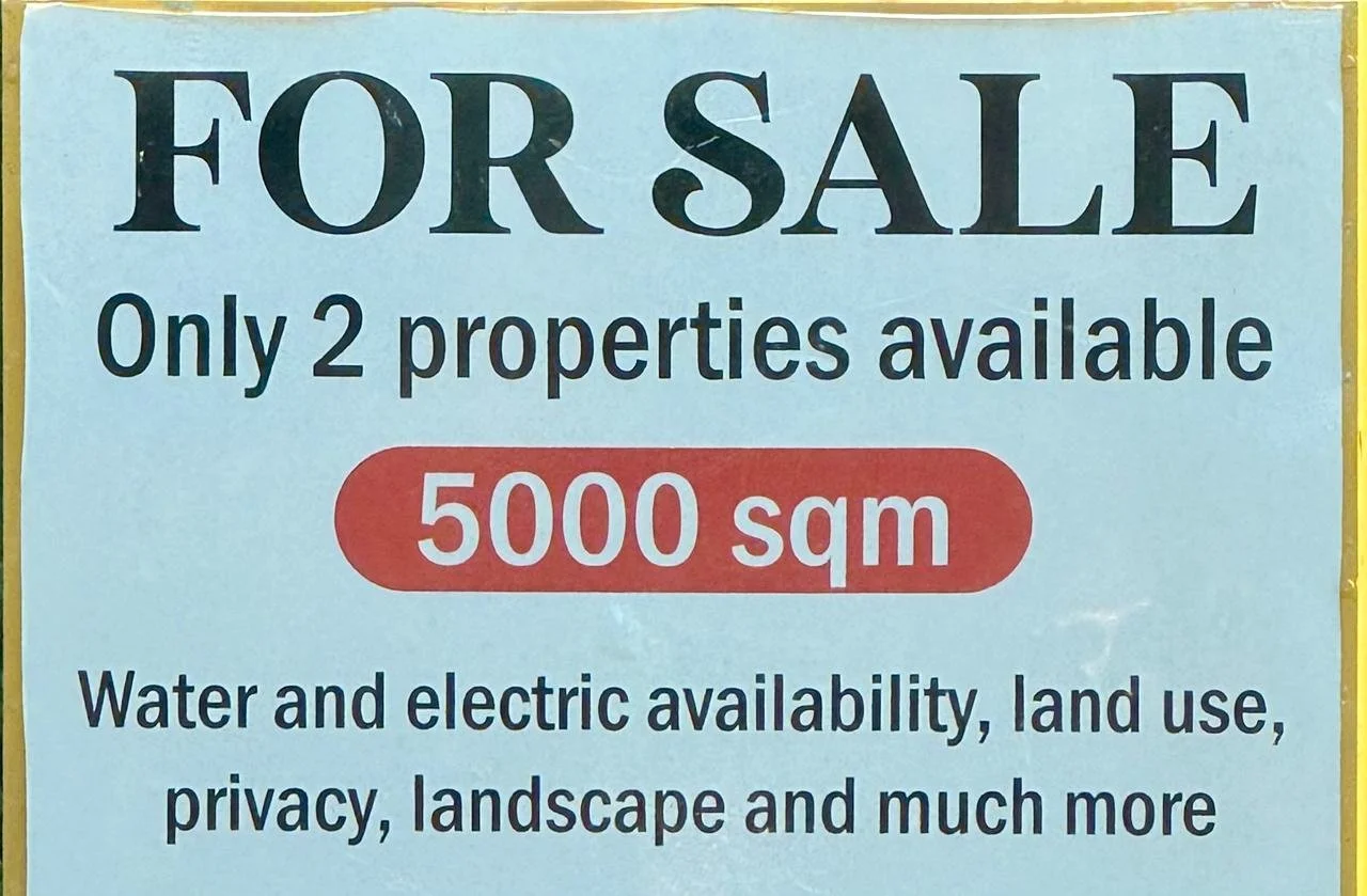 Suenos Gabriella lot.jpeg