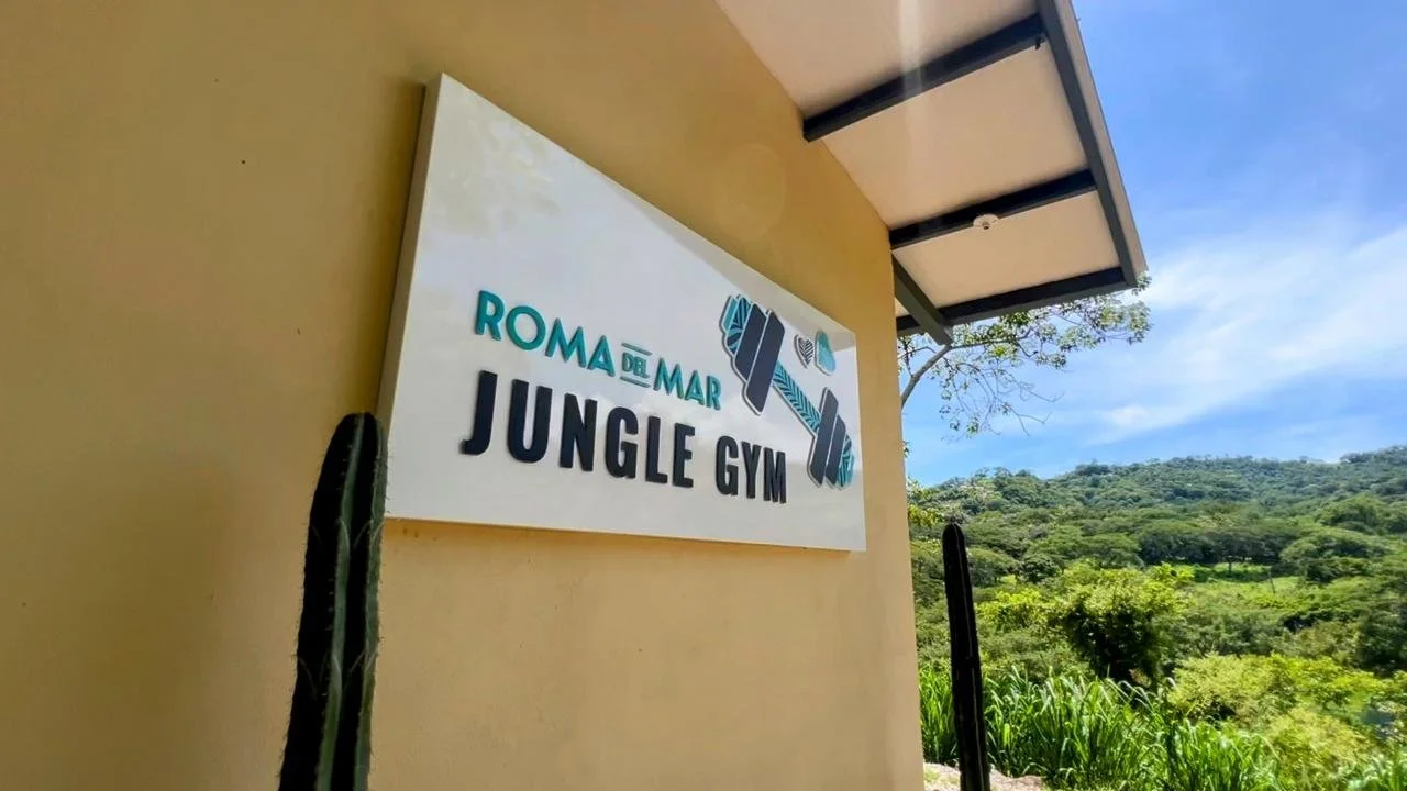 oma del mar jungle gym.jpeg