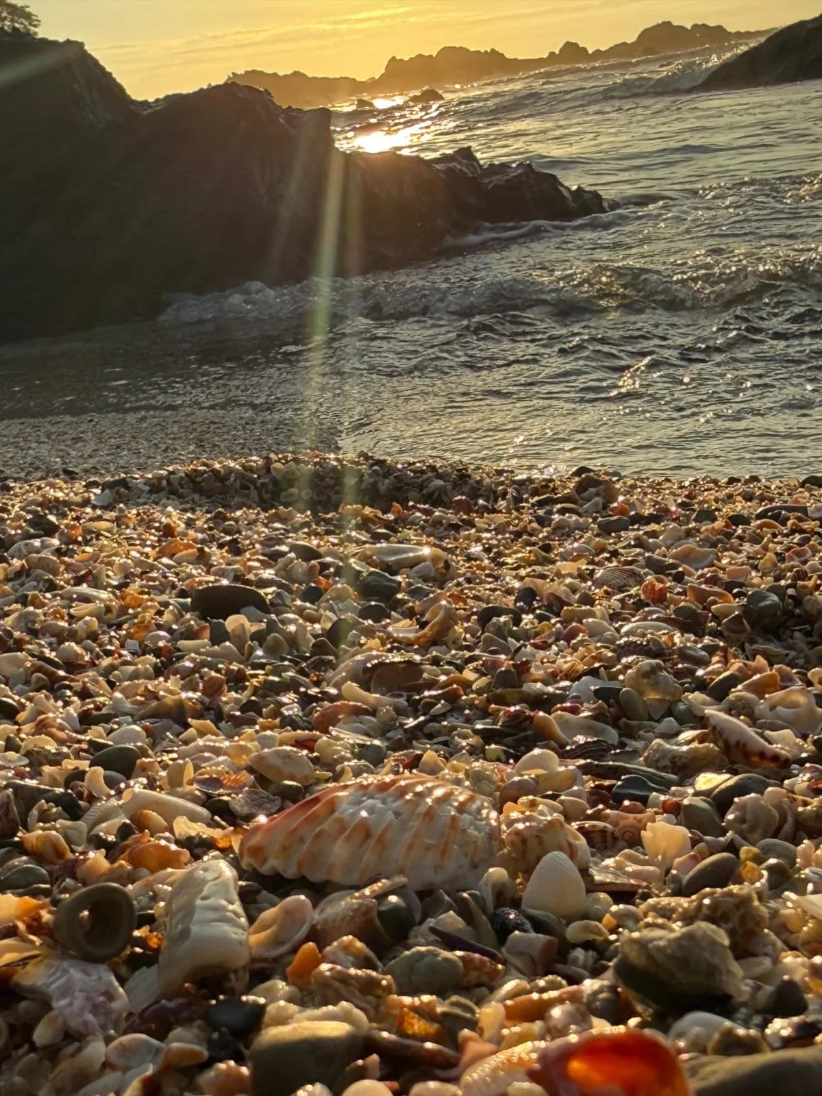 Photo by Nina Dormond