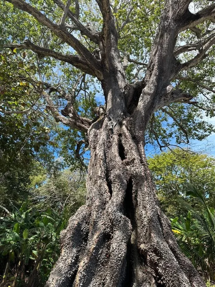 Photo by Lucie Kremer