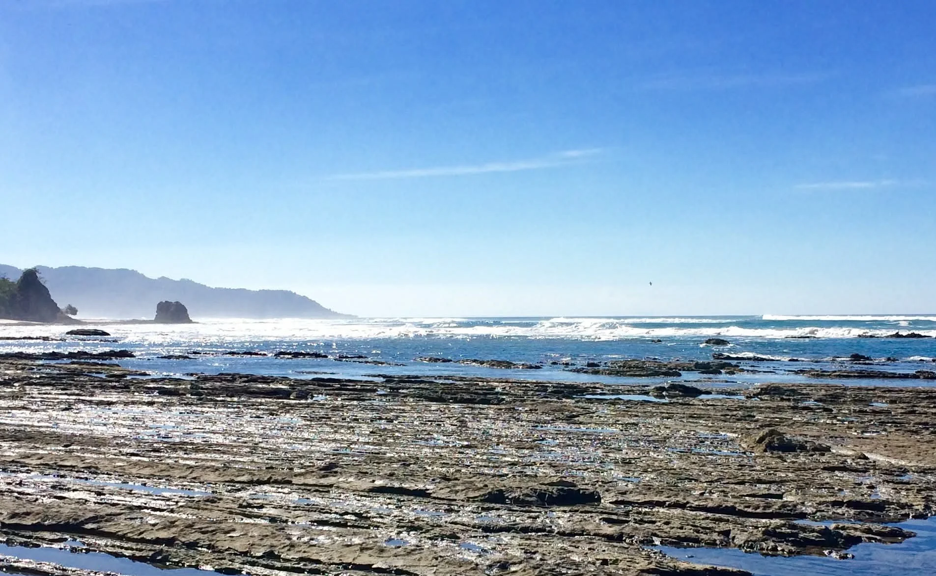 Photo by Paul Gardner