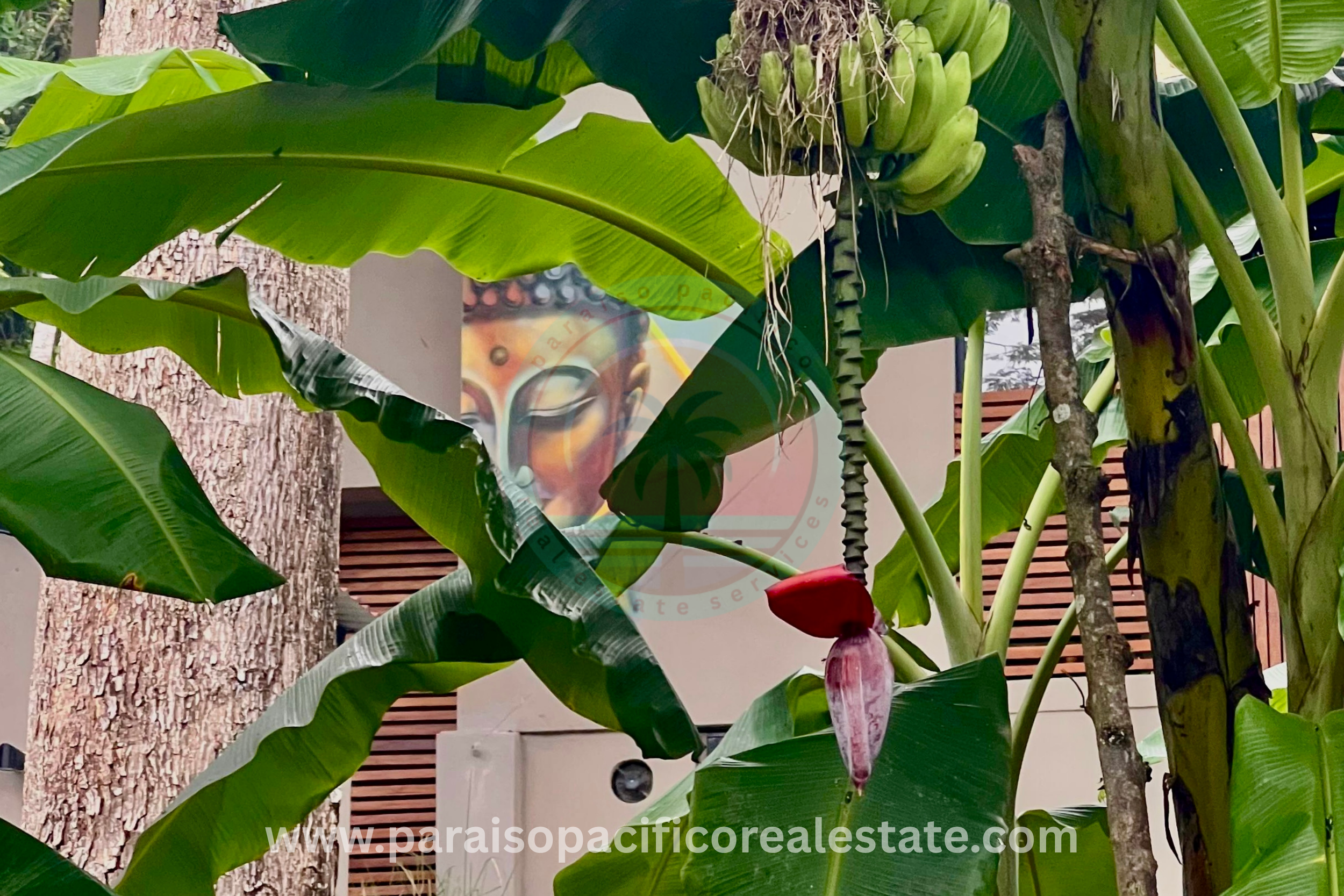 Exterior mural and bananas at Buddha House Organos near the beach in Costa Rica
