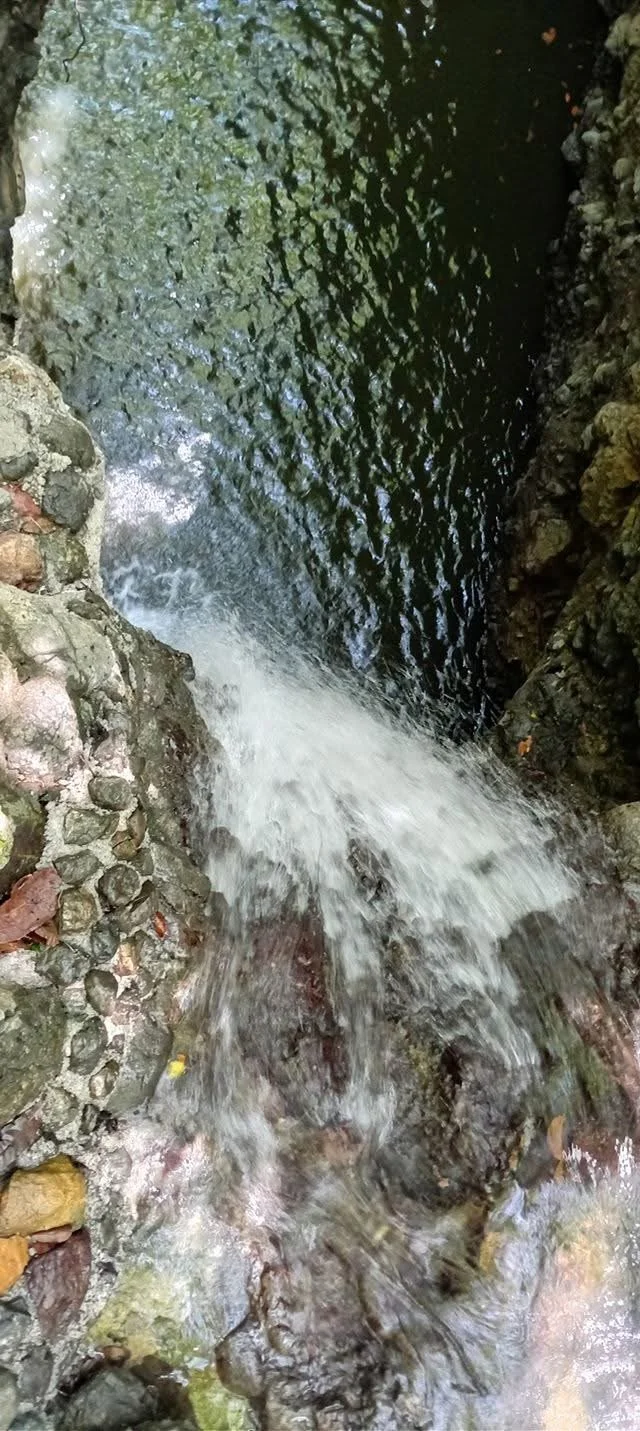 Photo by Leonardo CR