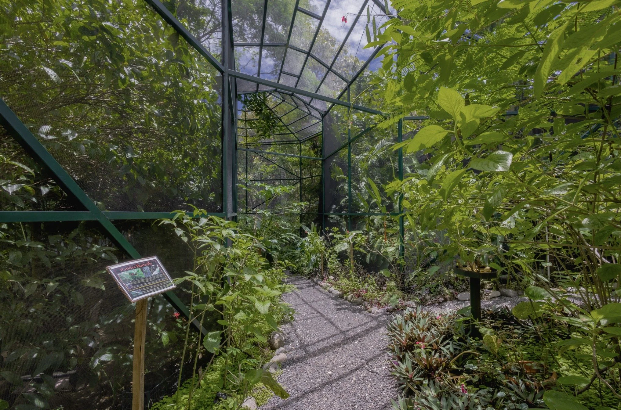 BBButteflygarden2.jpg