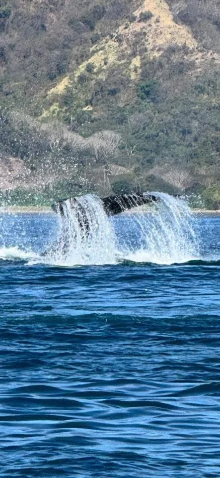 Photo by Juan Carlos Vargas Núñez