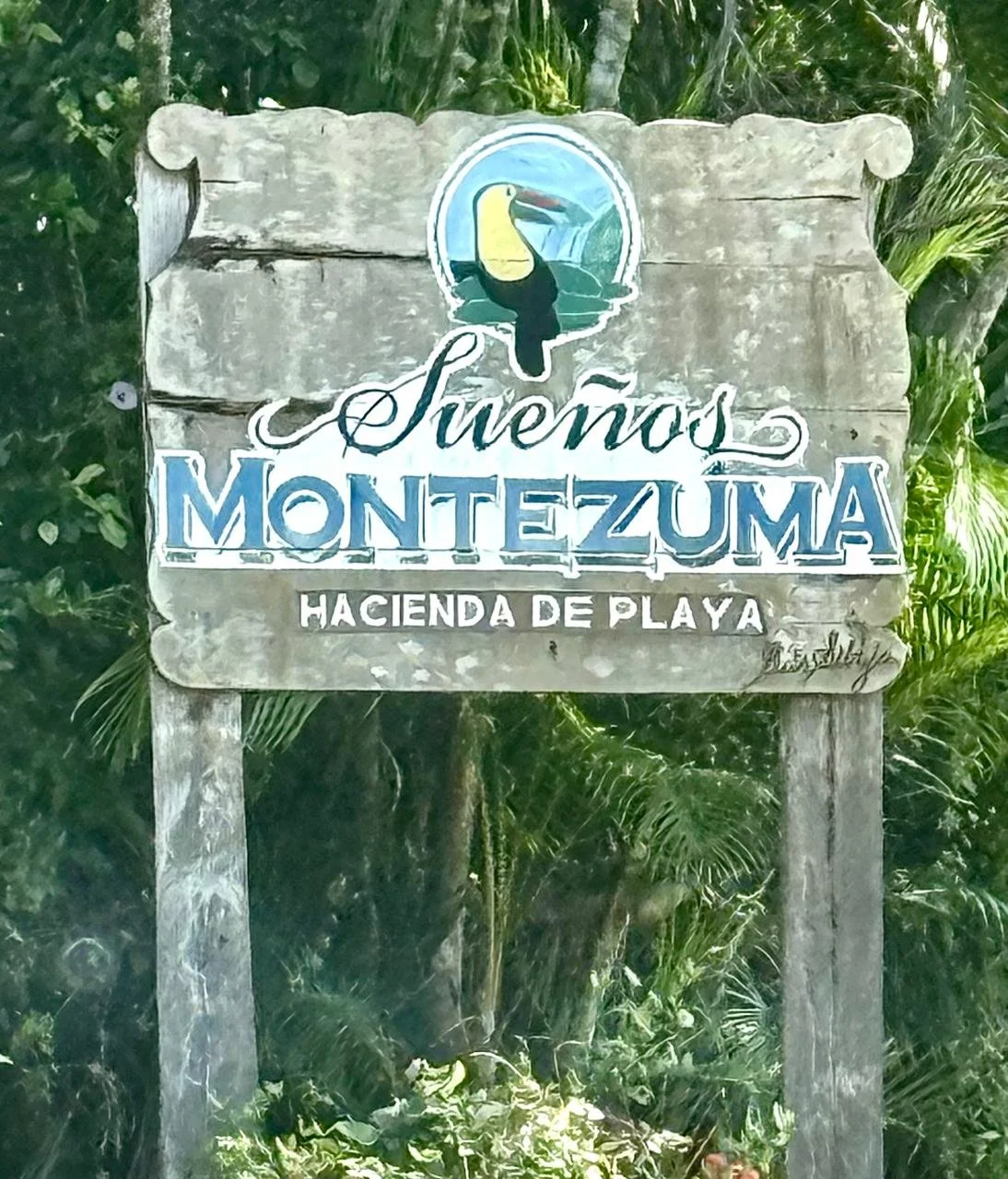 Suenos Gabriella lot 2.jpeg