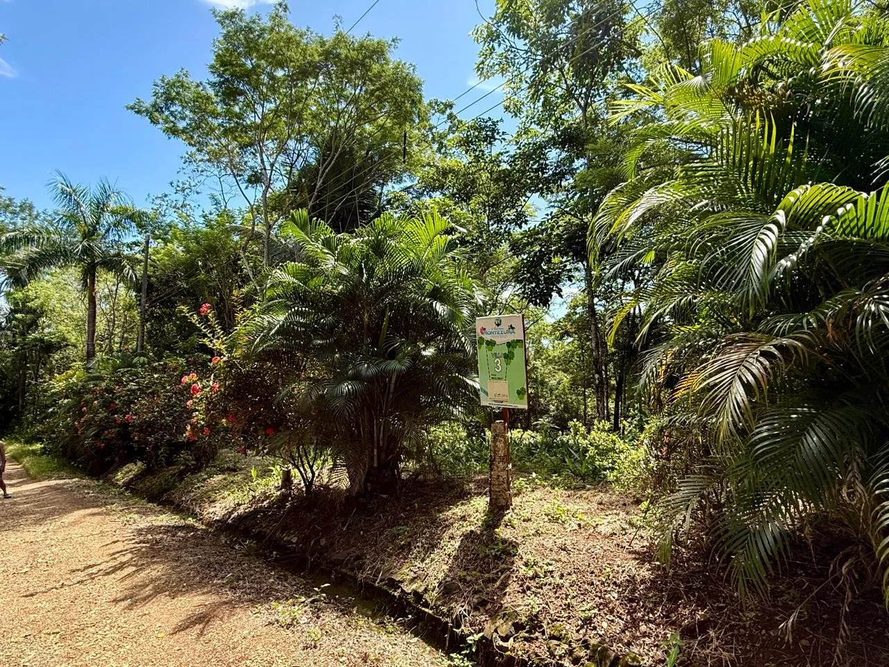 Building Lot 3 in Gated Sueños Montezuma