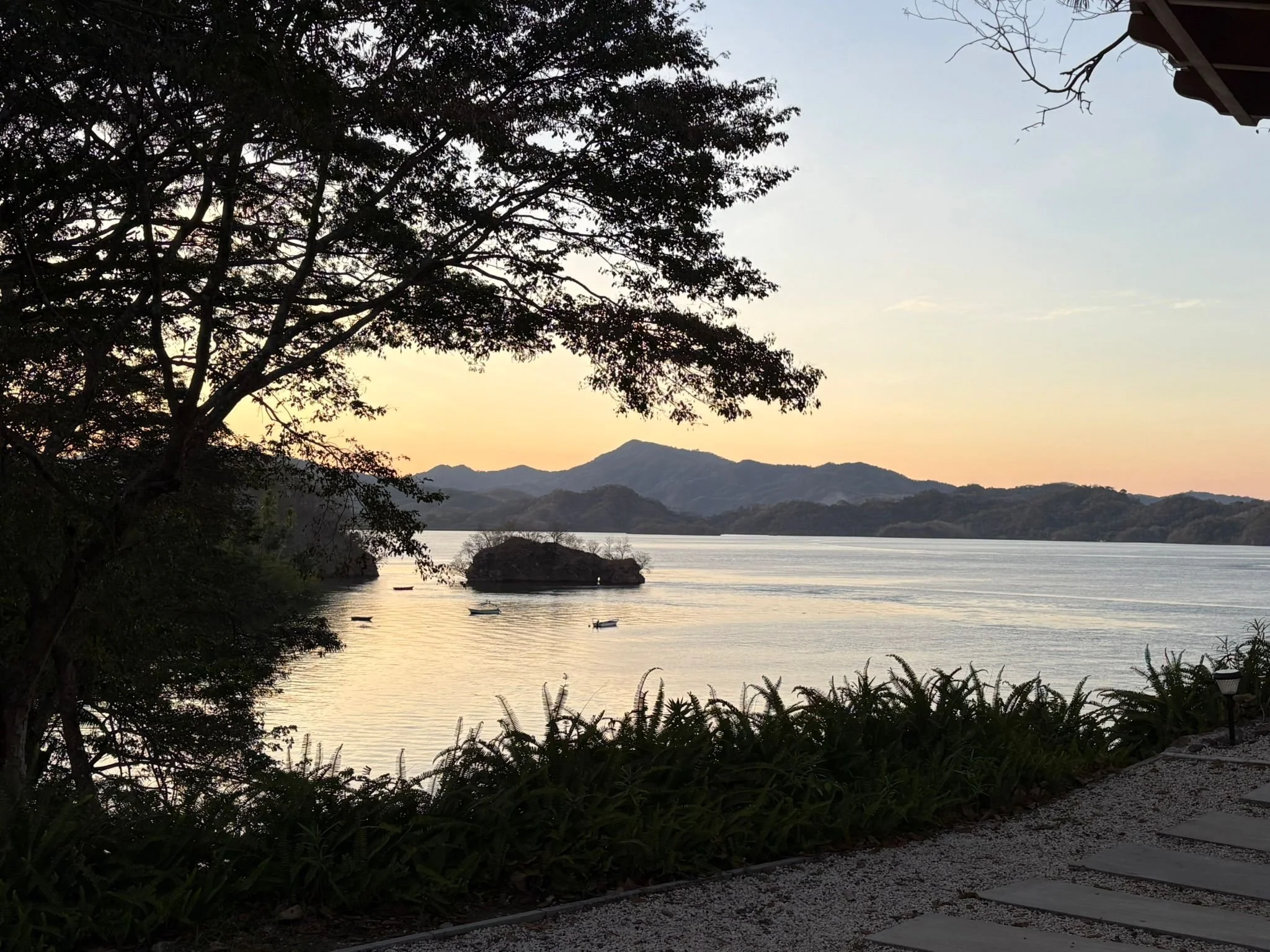 Photo by Patti Comeau