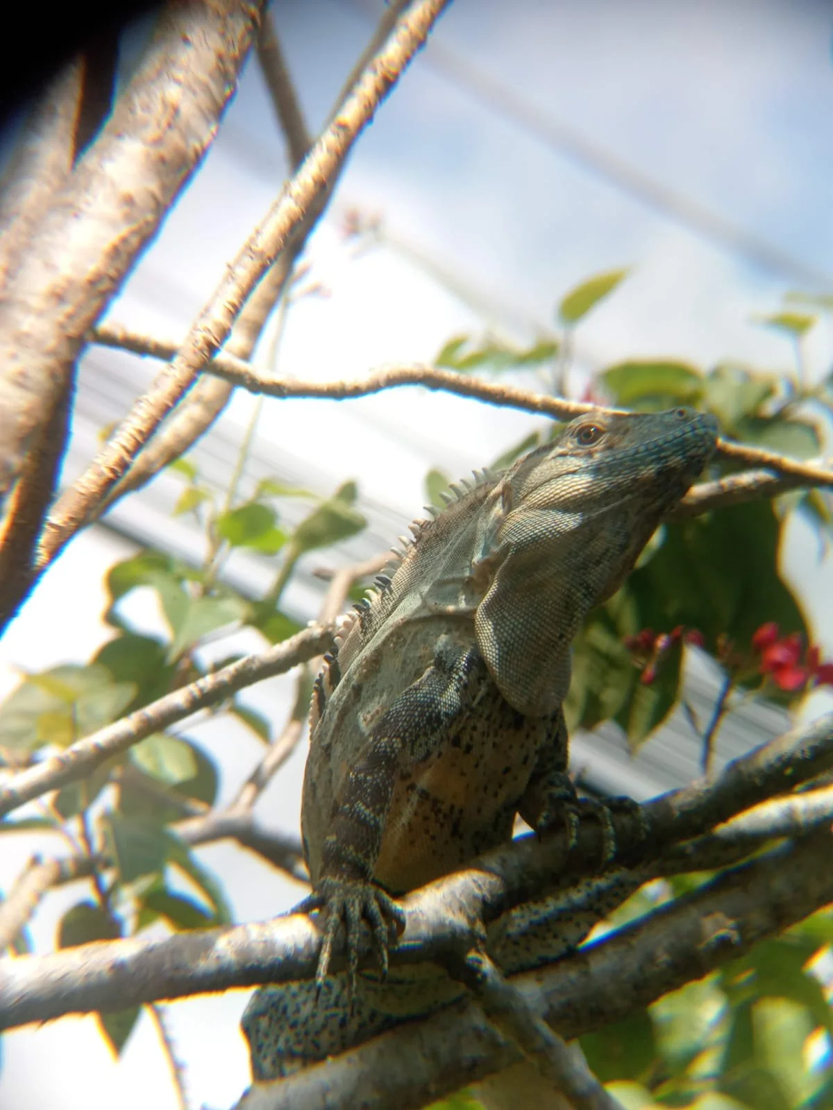 Photo by Nina Dormond