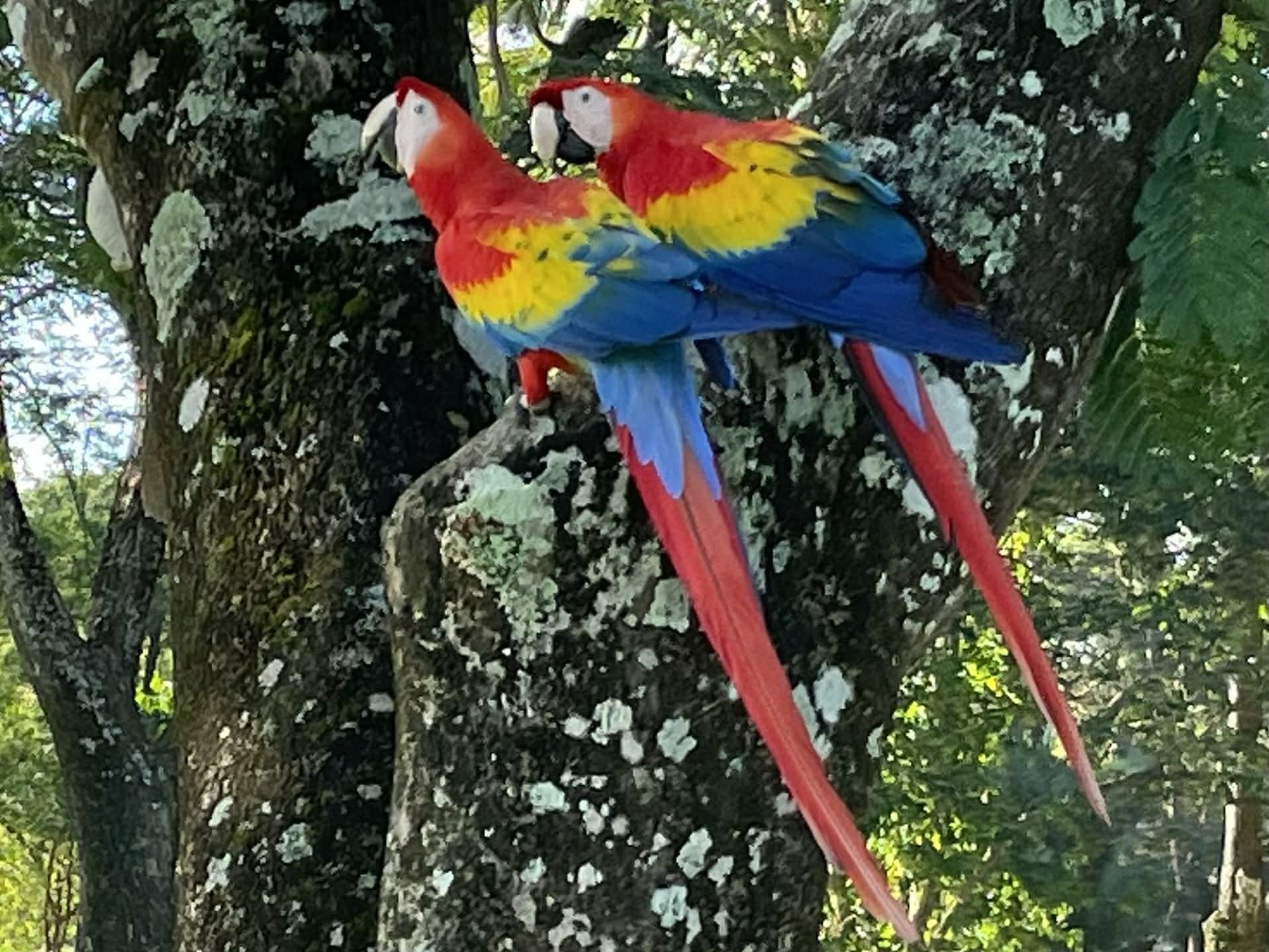 Photo by Paul Gardner