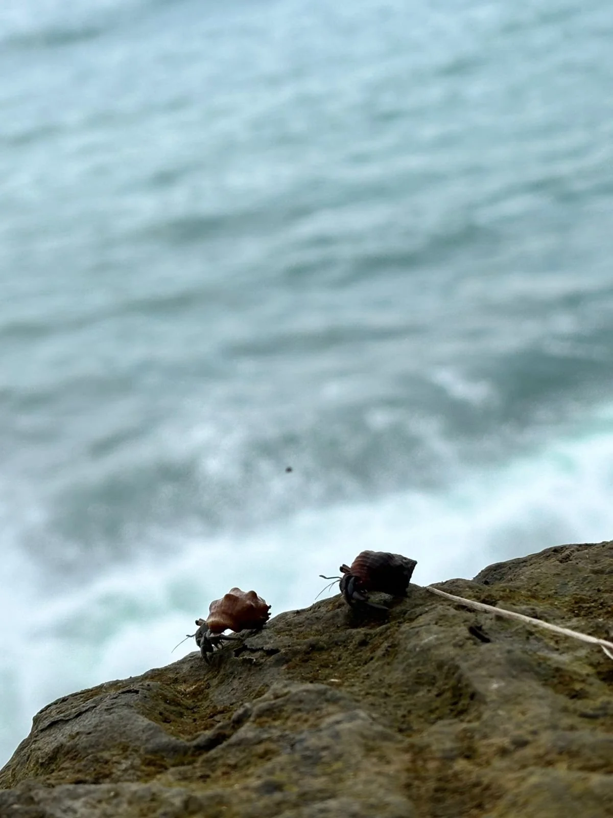 Photo by Nina Dormond