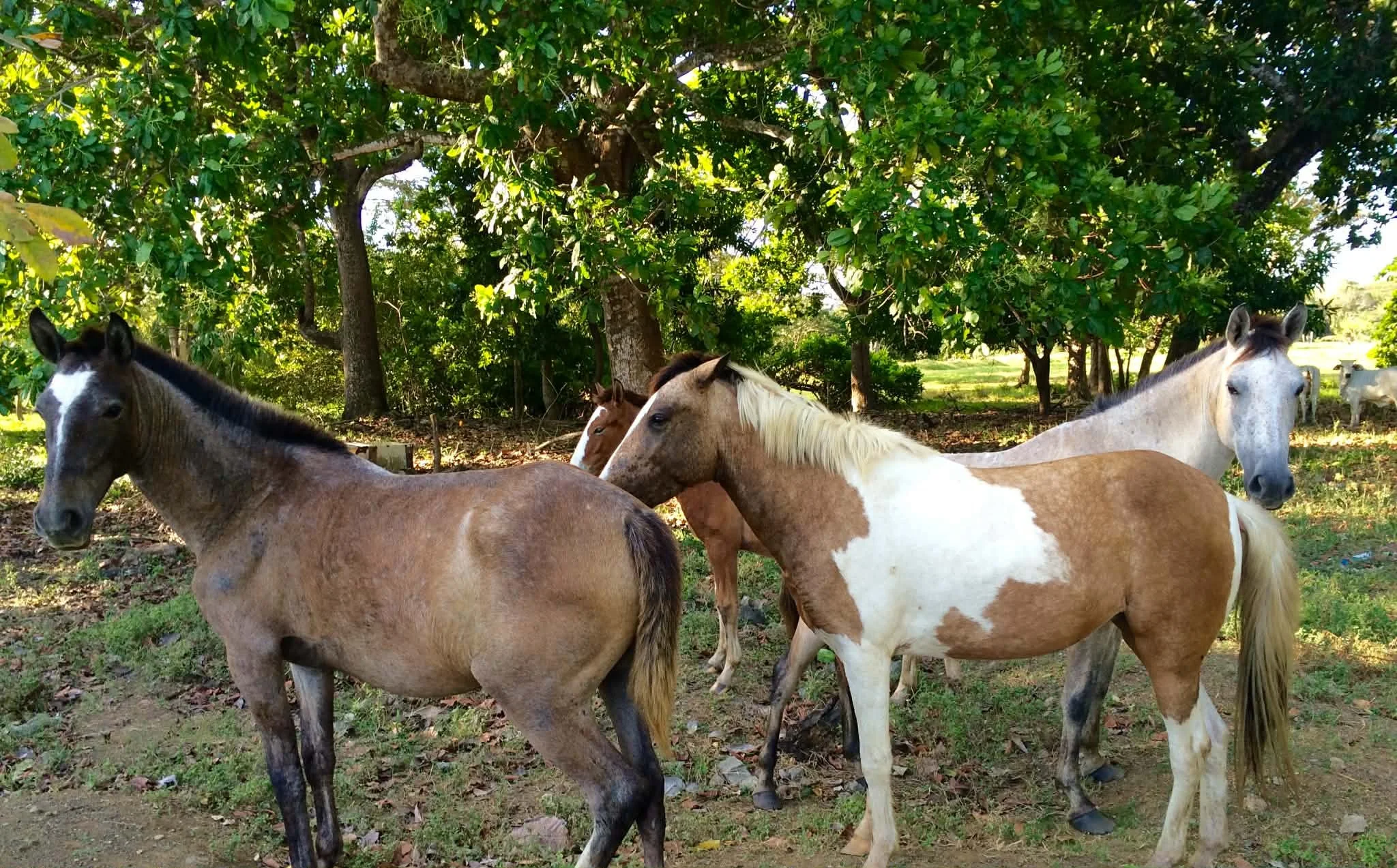 Photo by Paul Gardner