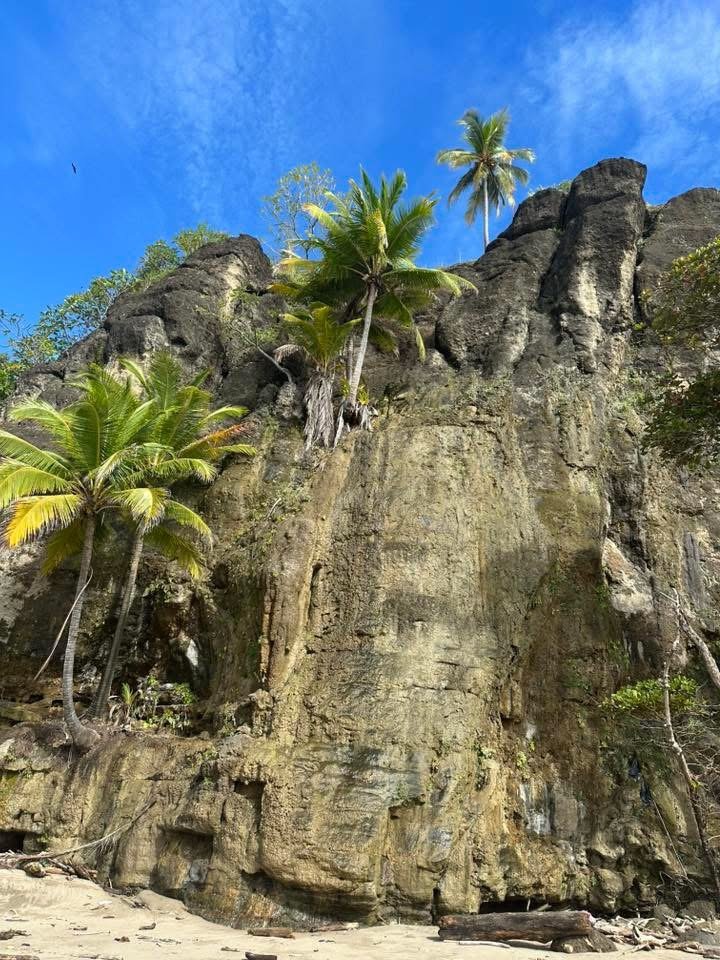 Photo by Sharman Crockett