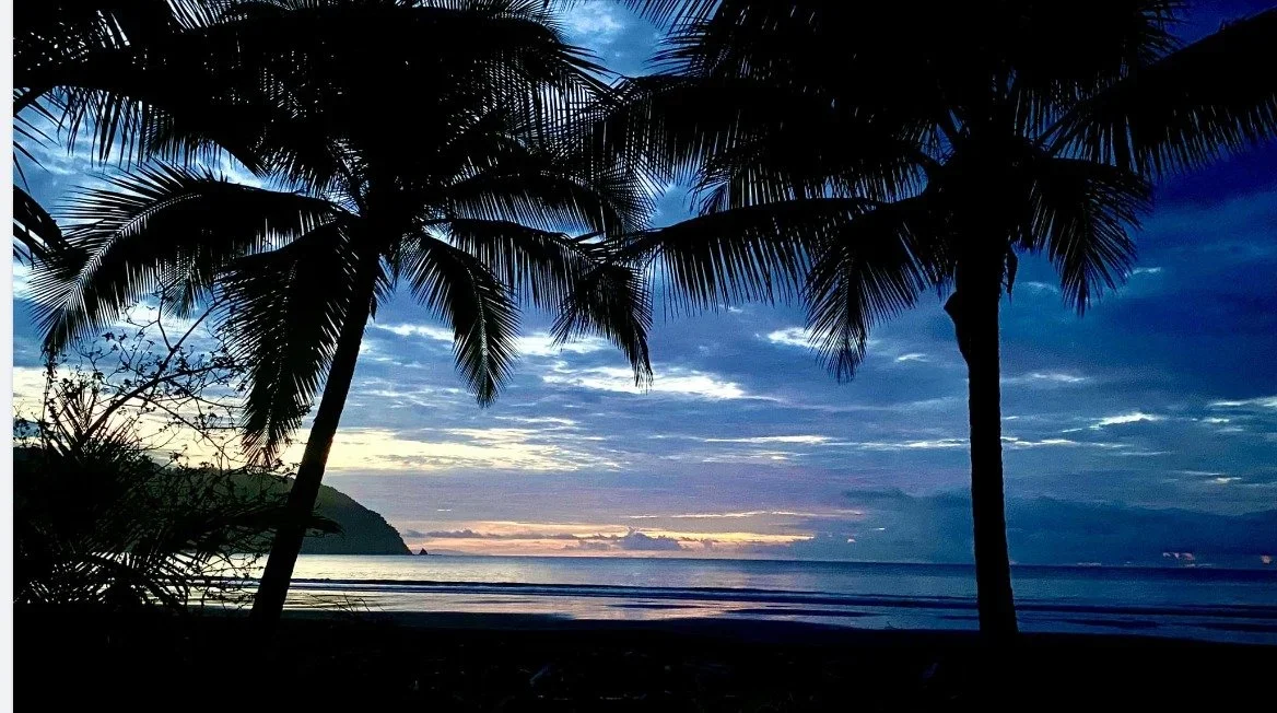 Tambor beach at night.webp