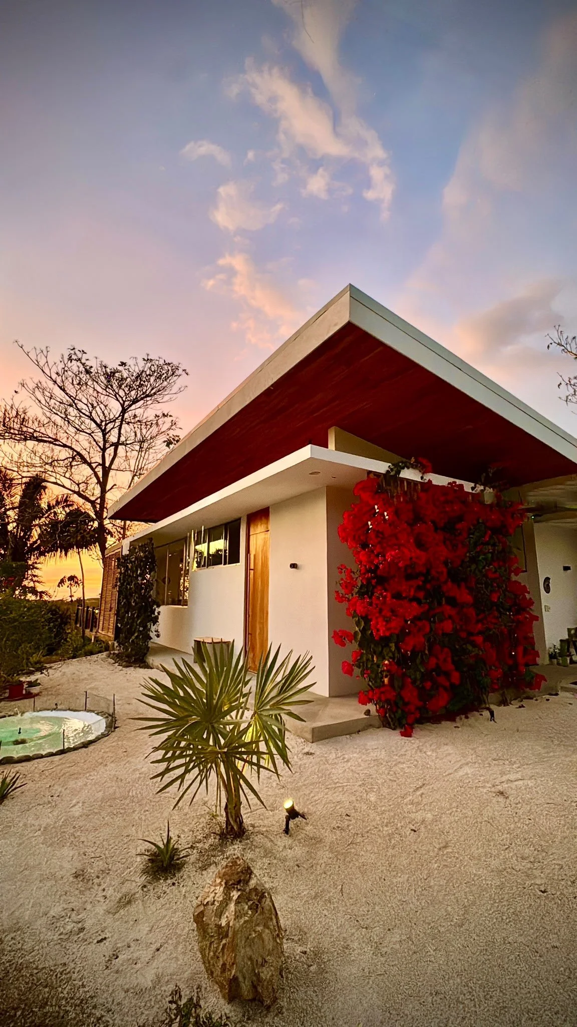WhatsApp Image 2026-06-05 at 4.54.31 PM (1).jpeg