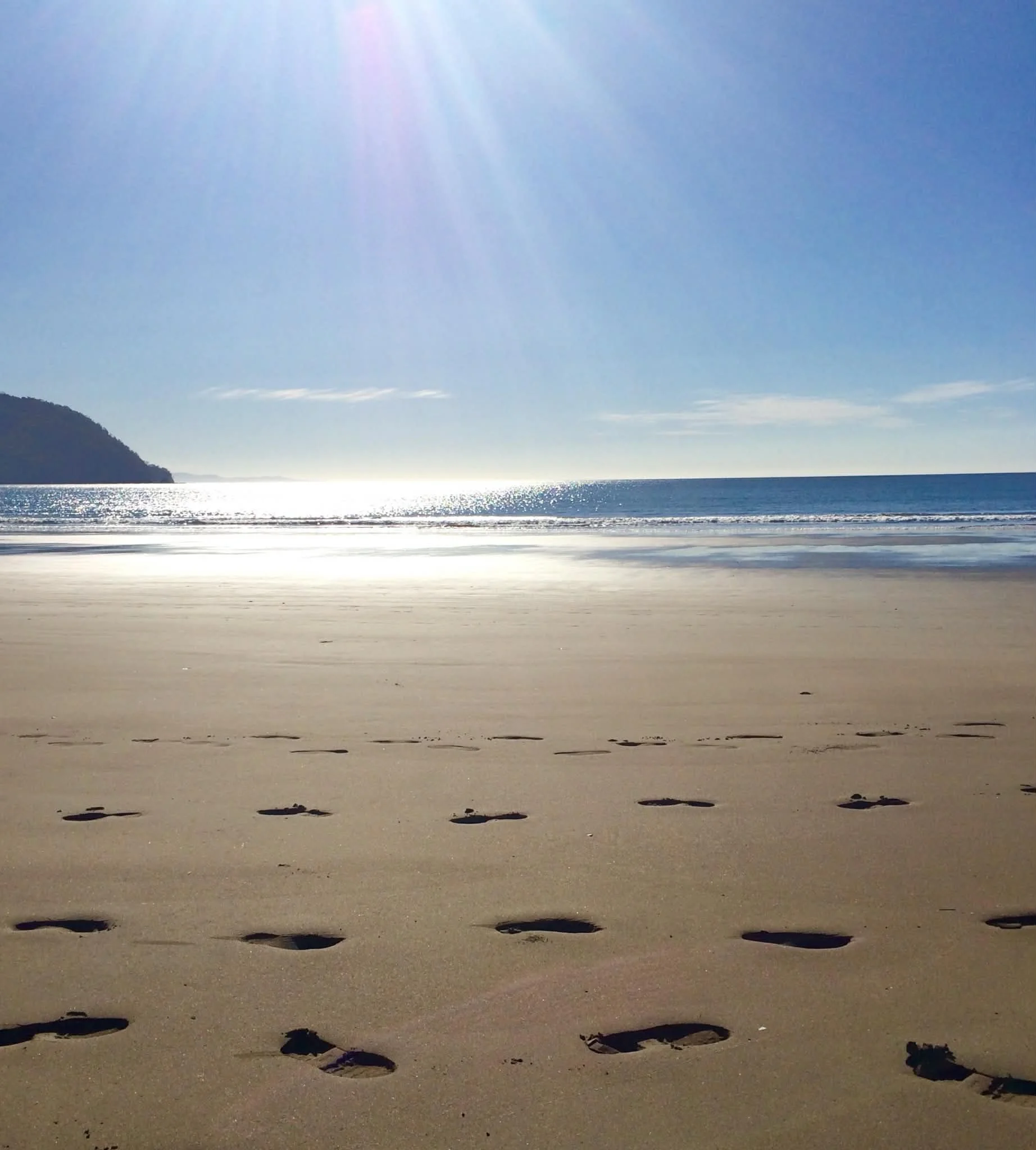 Photo by Paul Gardner