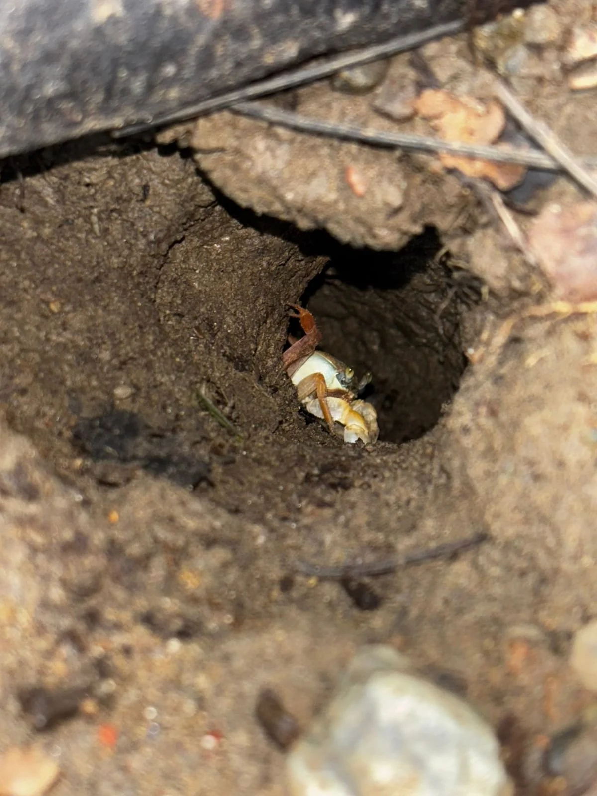 Photo by Nina Dormond