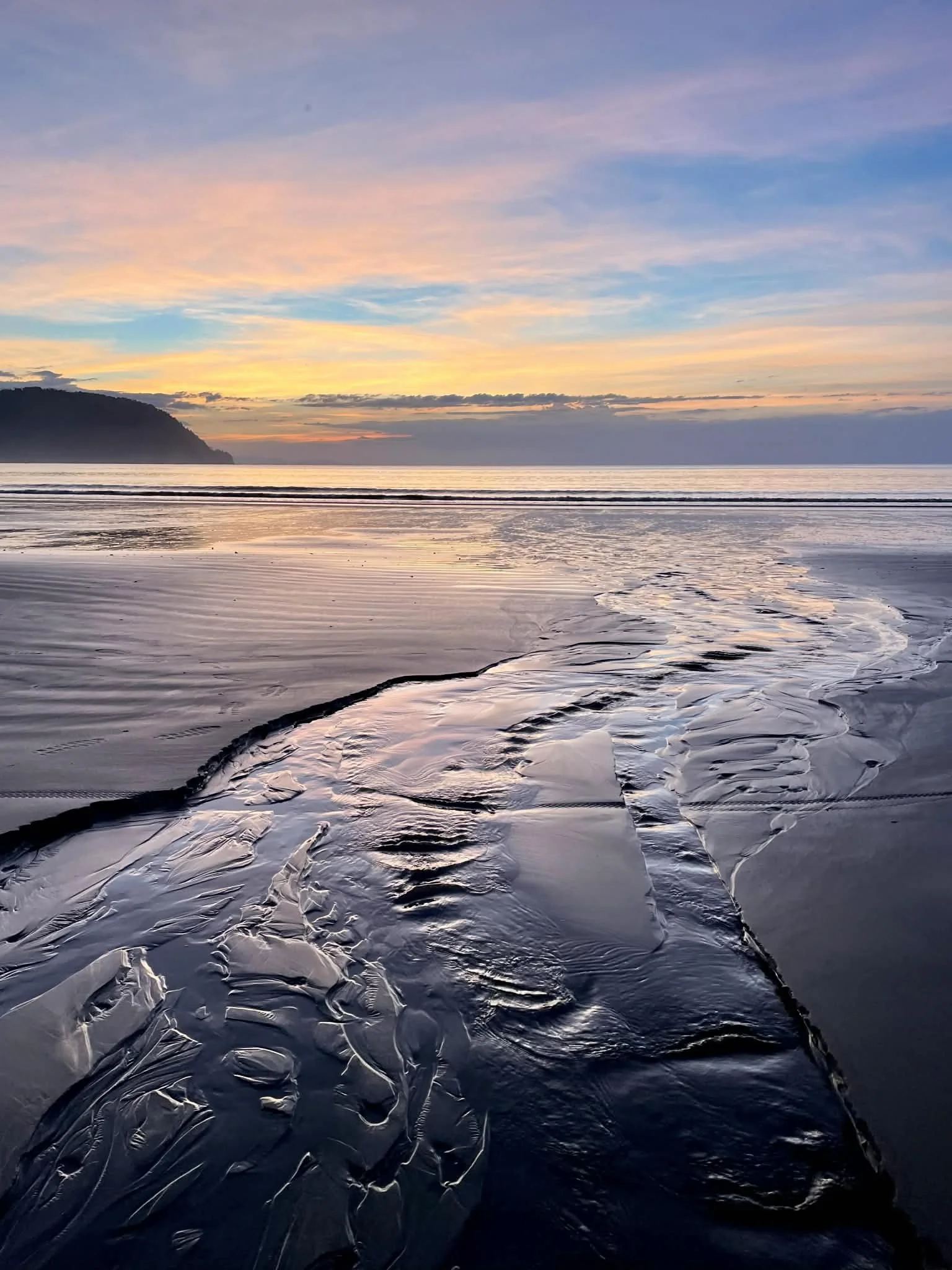 Photo by Paul Gardner