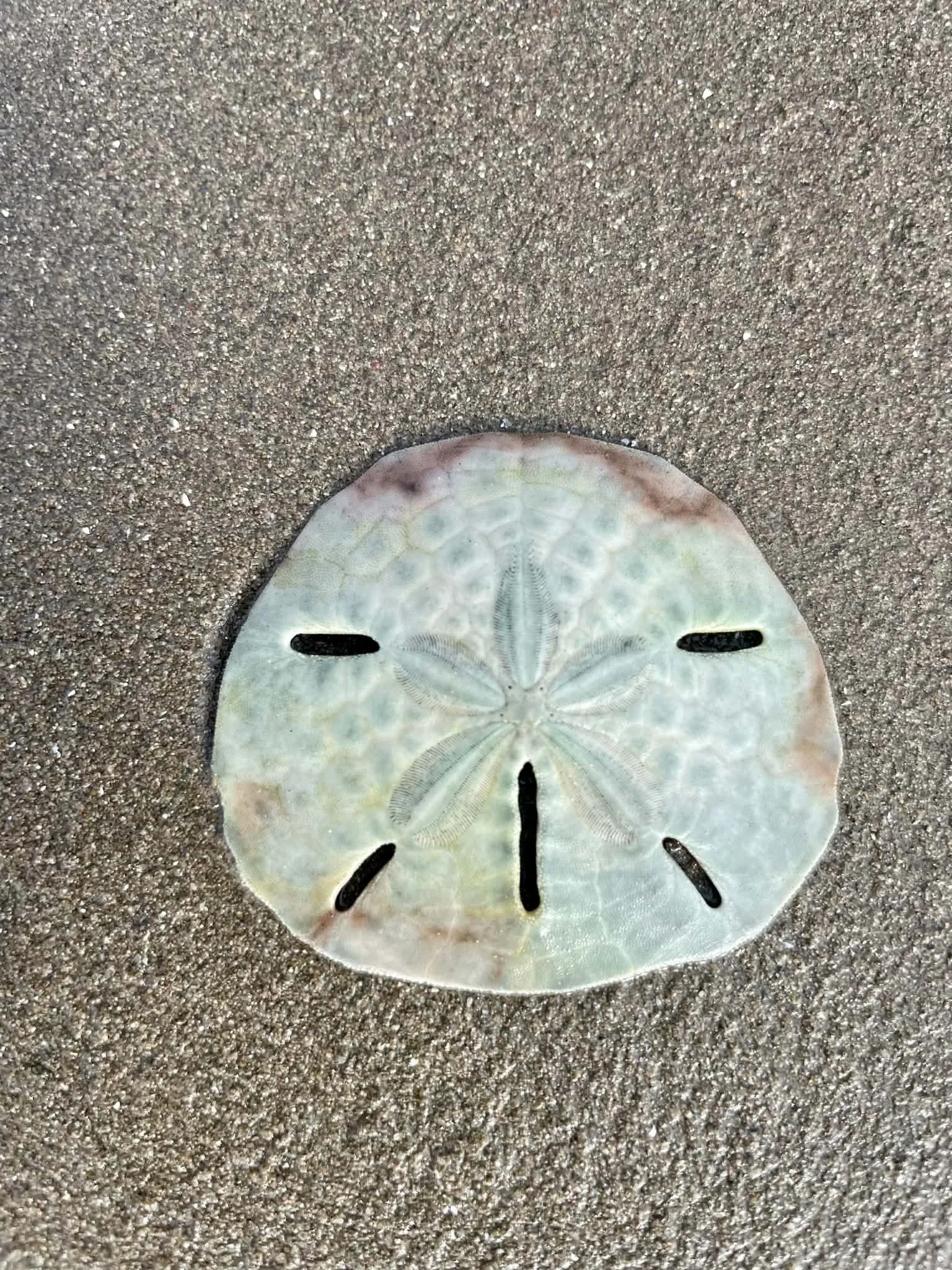 Photo by Paul Gardner