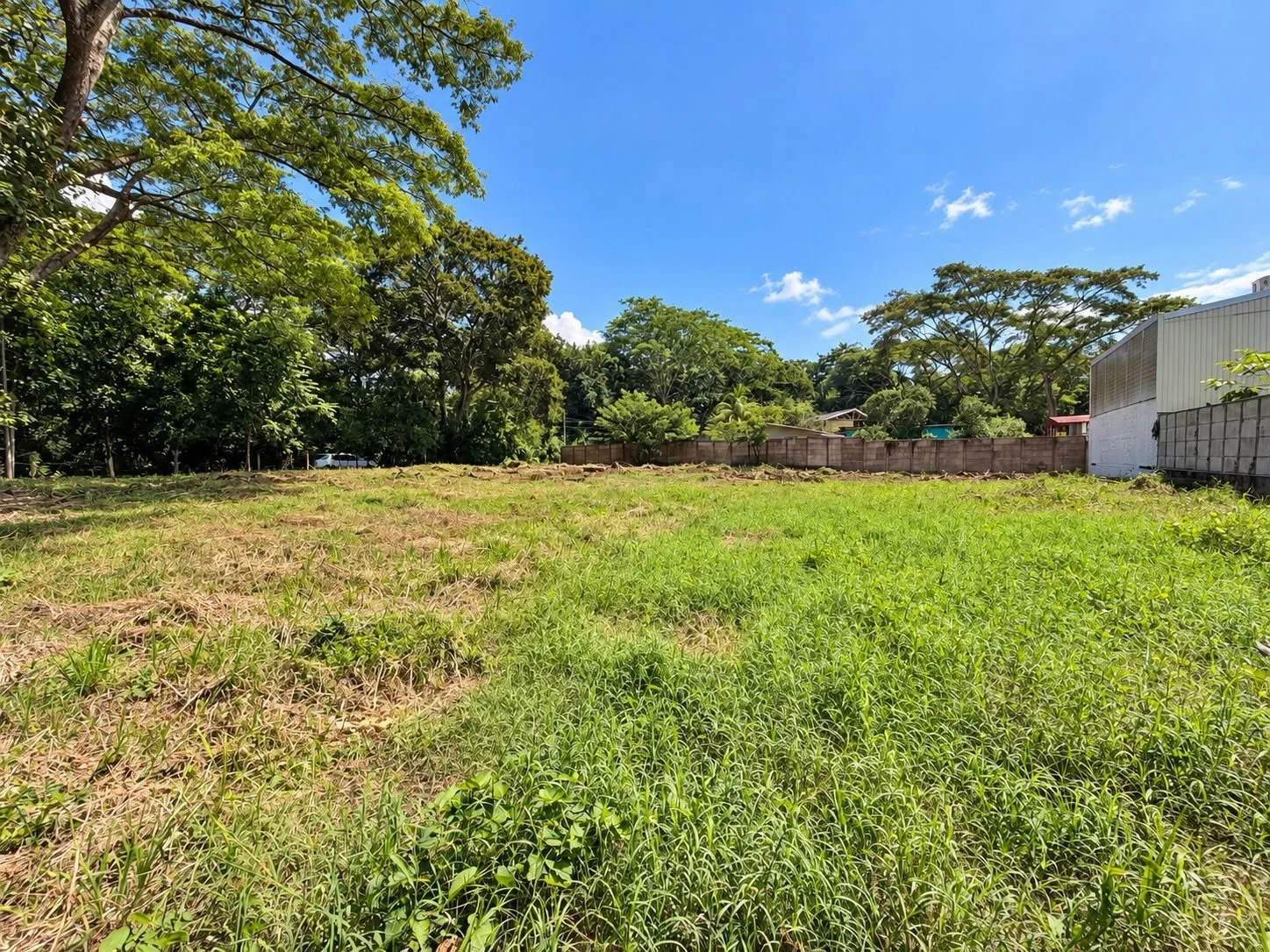 Level grassy residential land surrounded by tropical trees in Tambor, Costa Rica.