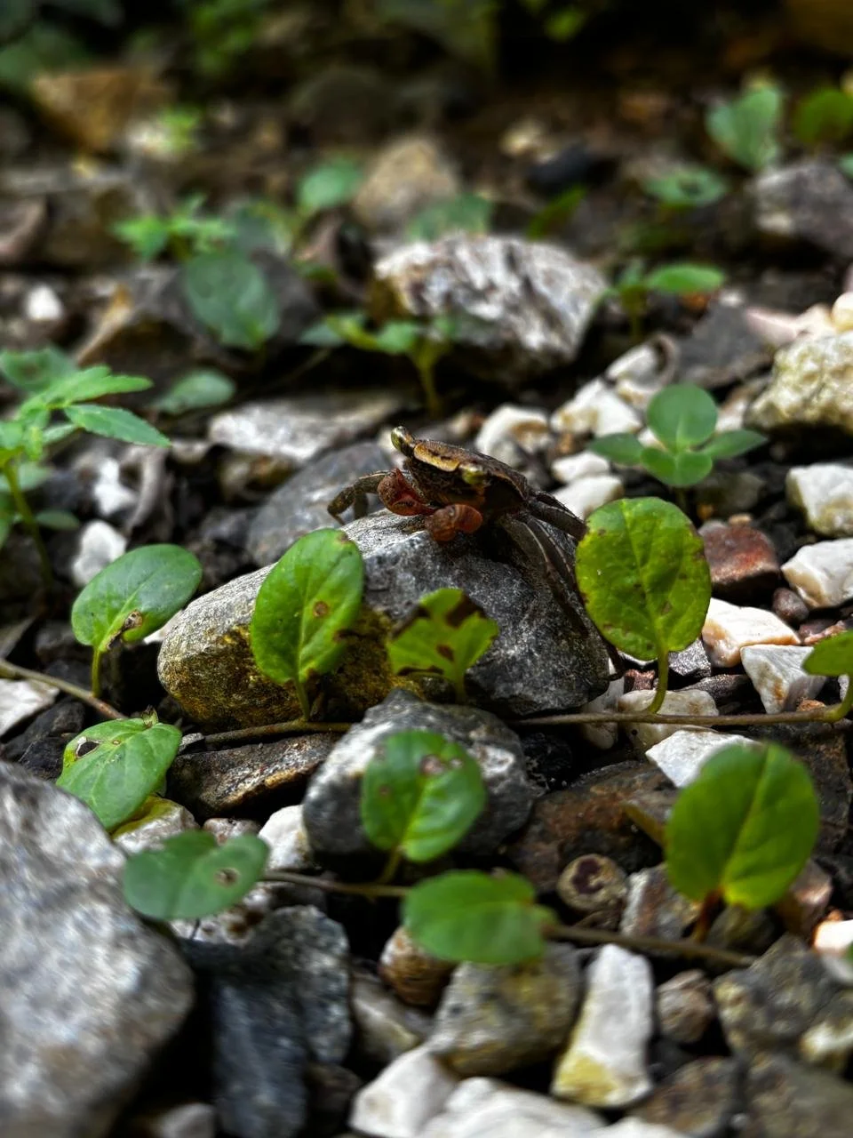 Photo by Nina Dormond