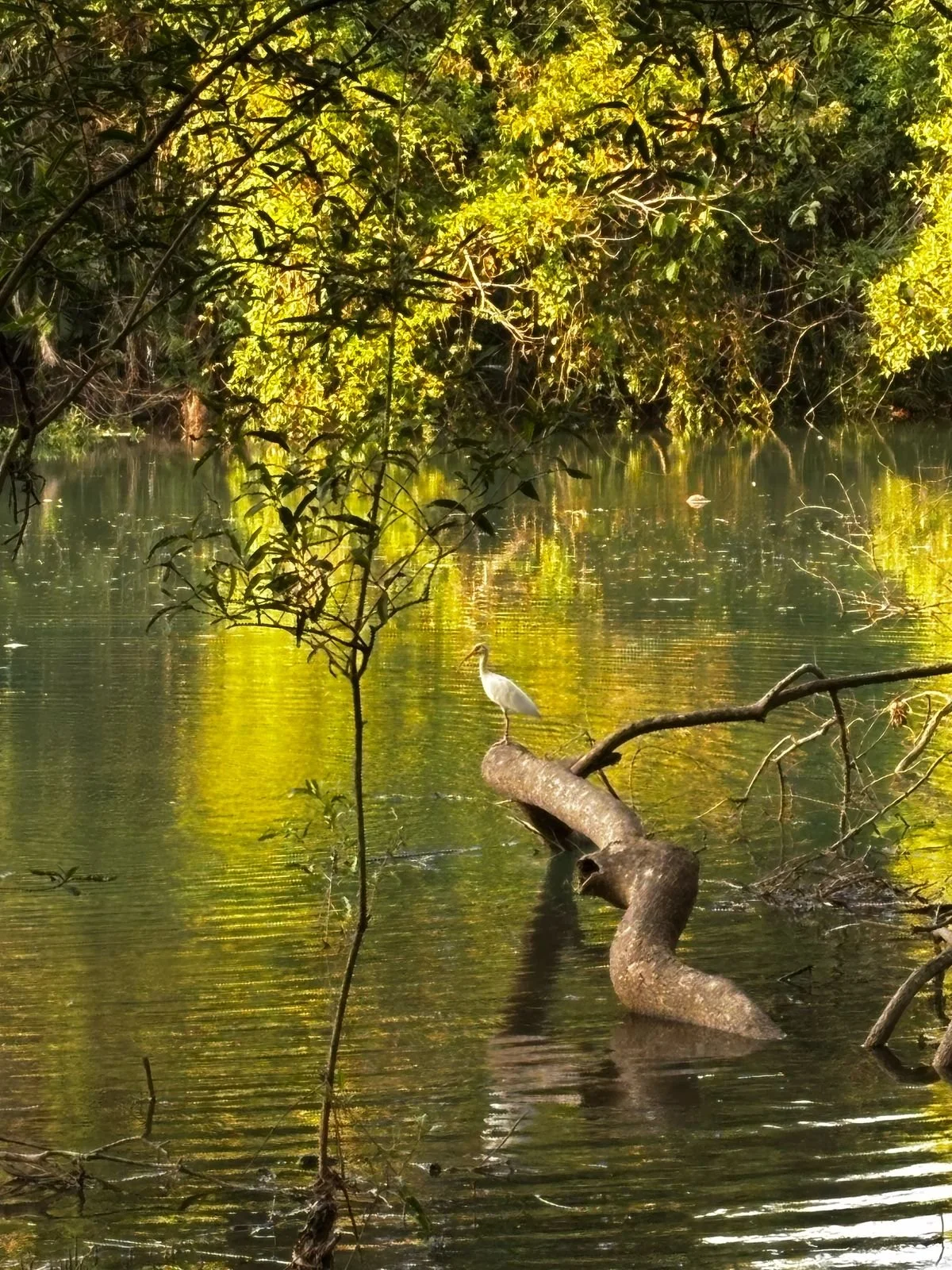 Photo by Nina Dormond